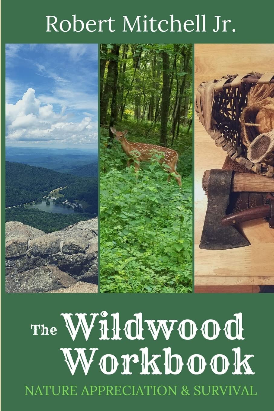 The Wildwood Workbook: Nature Appreciation and Survival Leisure & Fun