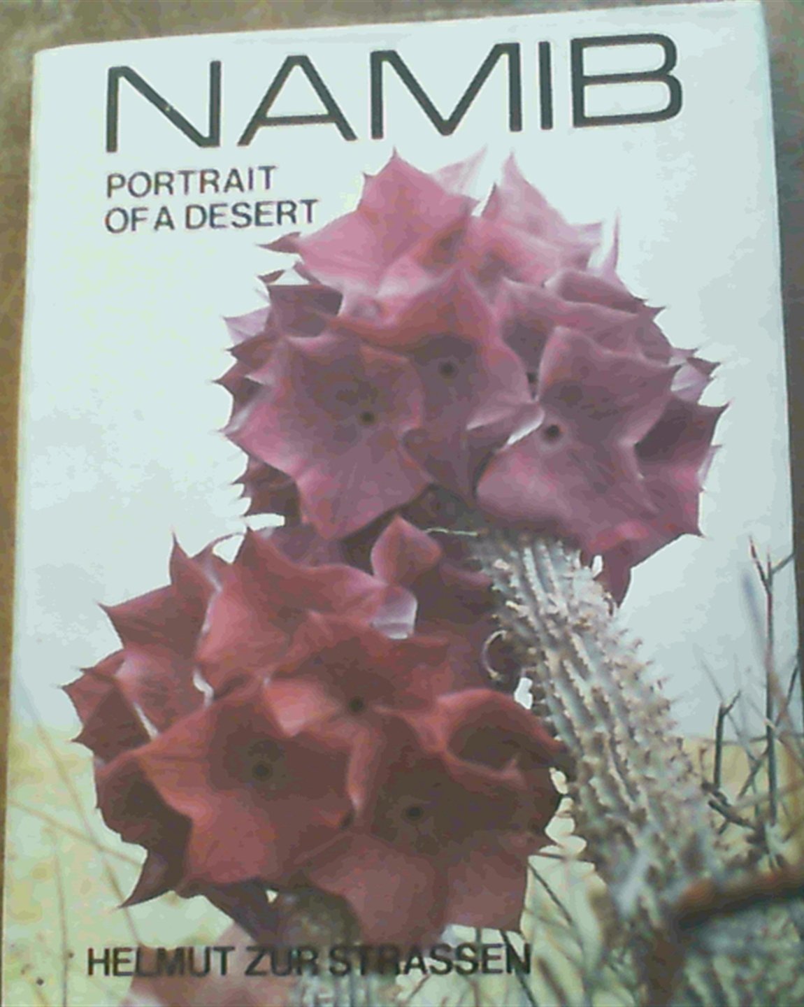 Namib Portrait of a Desert Books