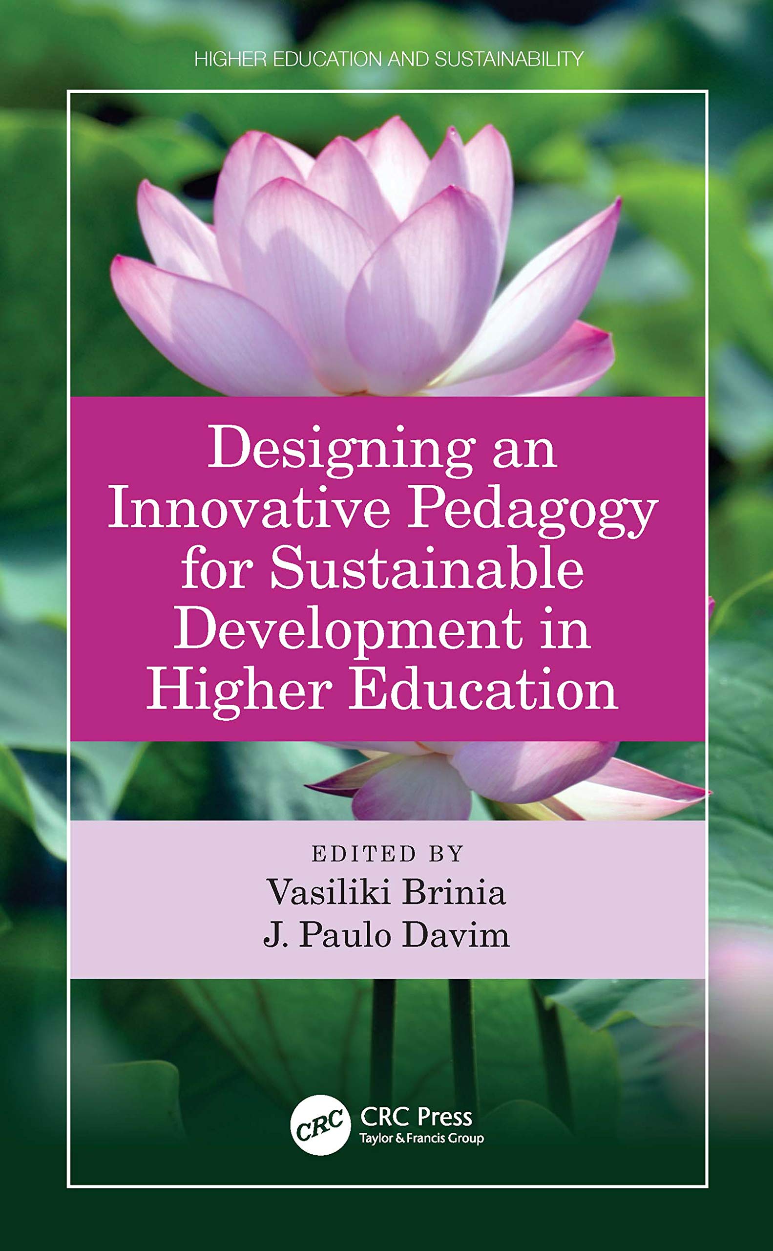 Designing an Innovative Pedagogy for Sustainable Development in Higher Education Social Sciences