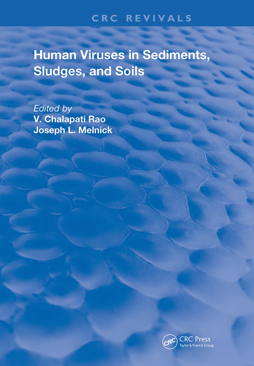 Human Viruses In Sediments Sludges & Soils (Routledge Revivals) Business & Technology