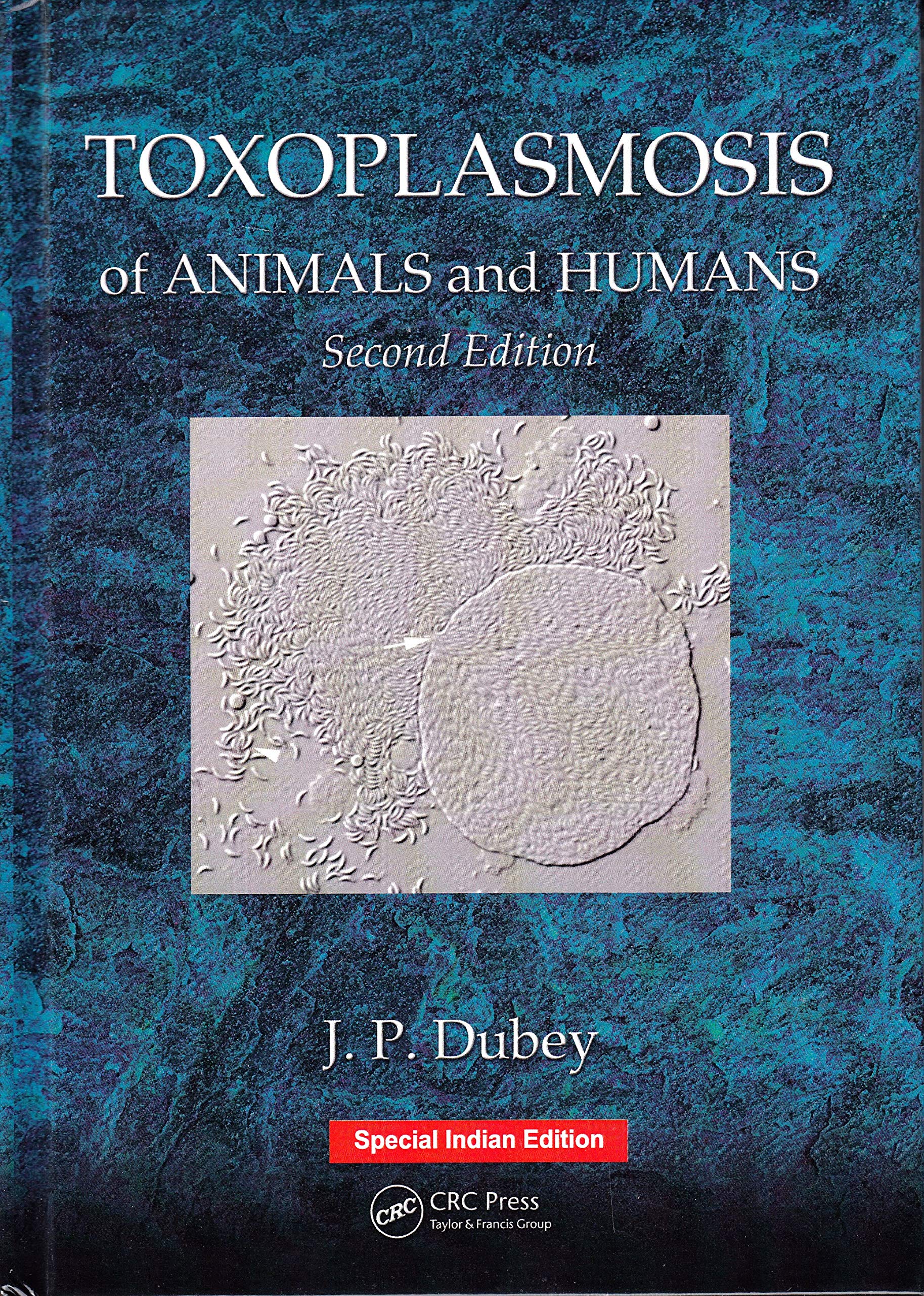TOXOPLASMOSIS OF ANIMALS & HUMANS Business & Technology