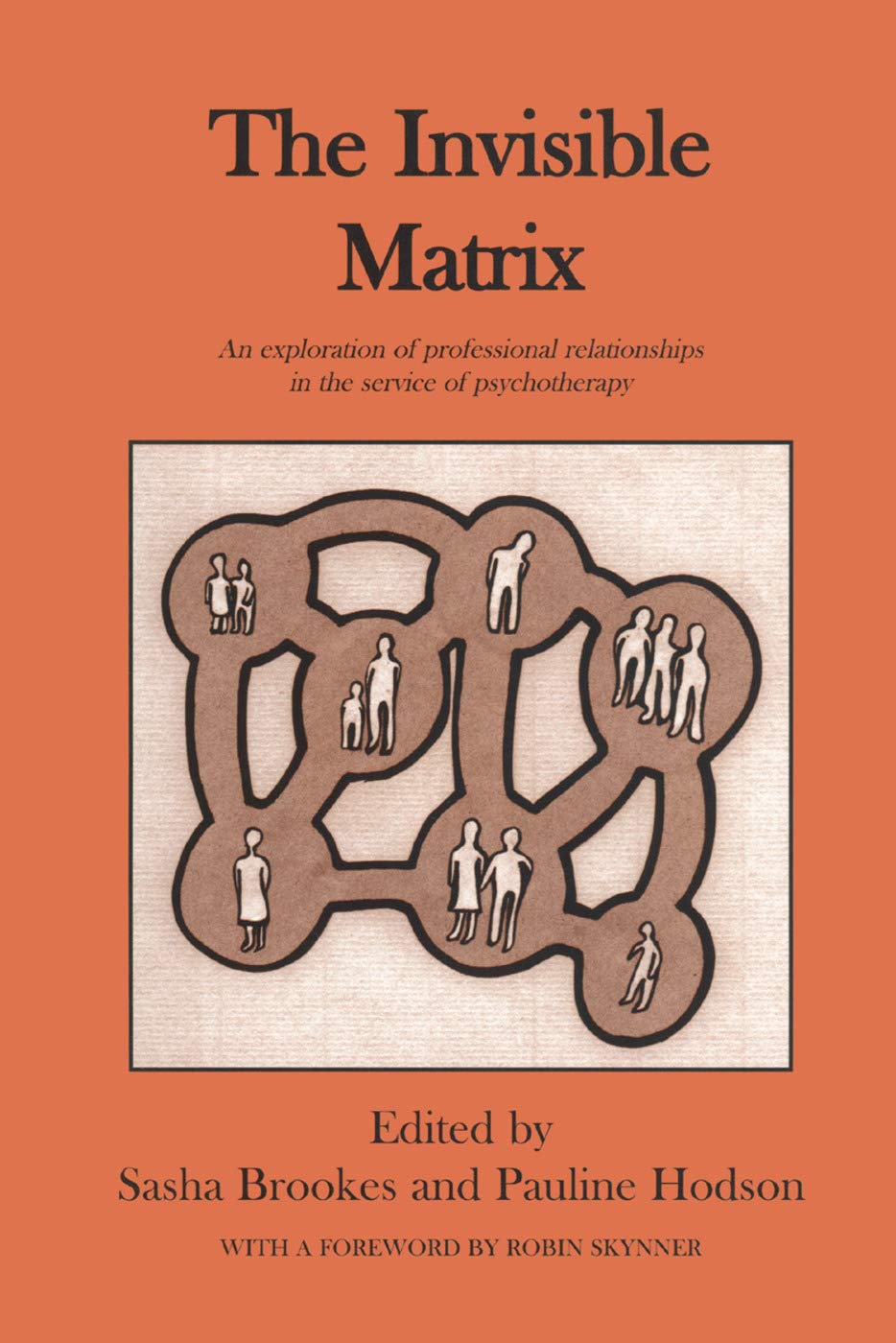 Product Image: The Invisible Matrix