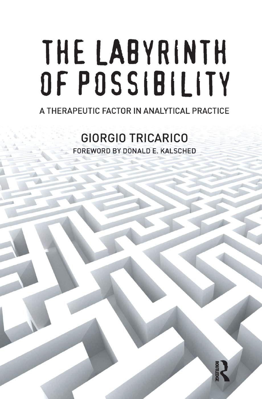The Labyrinth of Possibility: A Therapeutic Factor in Analytical Practice Medicine