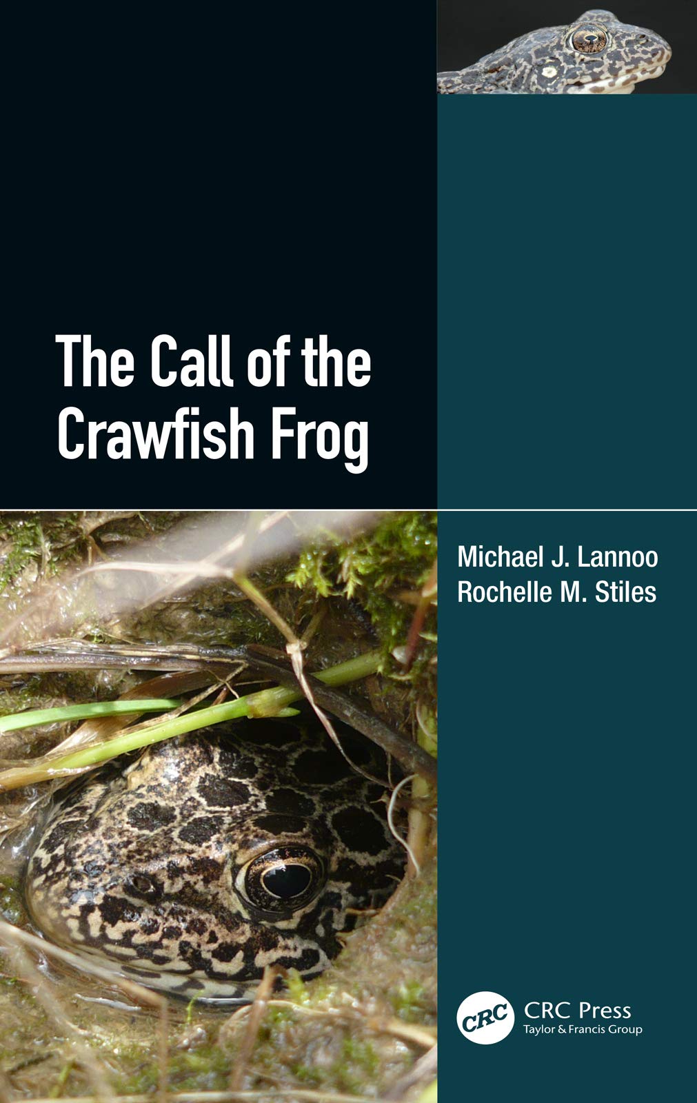 The Call of the Crawfish Frog Mathematics