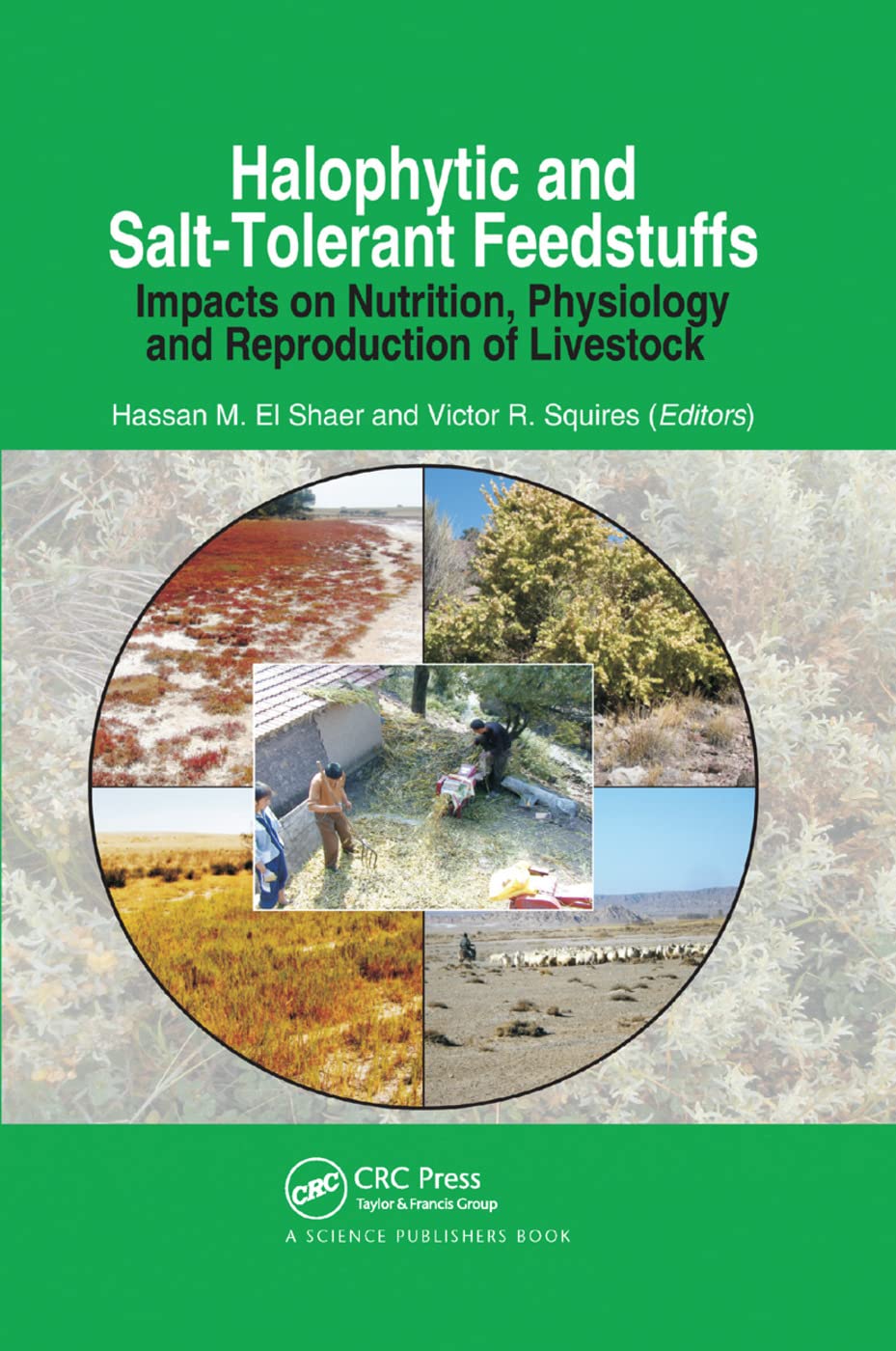 Halophytic and Salt-Tolerant Feedstuffs Mathematics