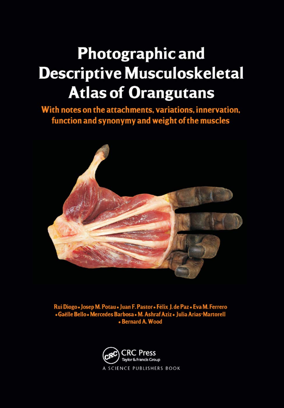 Photographic and Descriptive Musculoskeletal Atlas of Orangutans Medicine