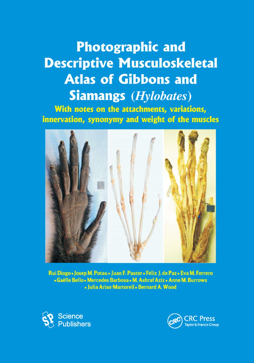 Photographic and Descriptive Musculoskeletal Atlas of Gibbons and Siamangs (Hylobates) Medicine