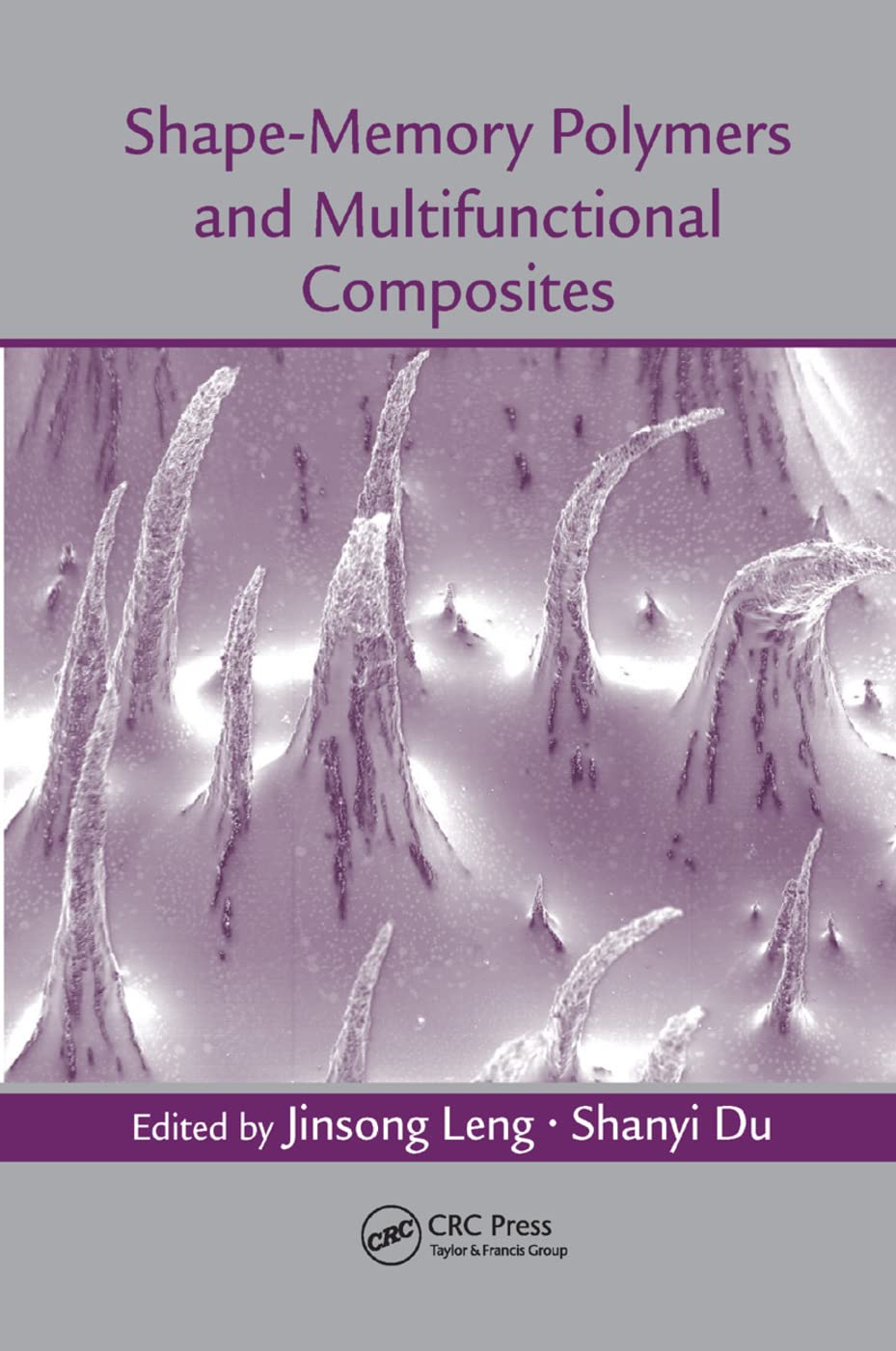 Shape-Memory Polymers and Multifunctional Composites Business & Technology