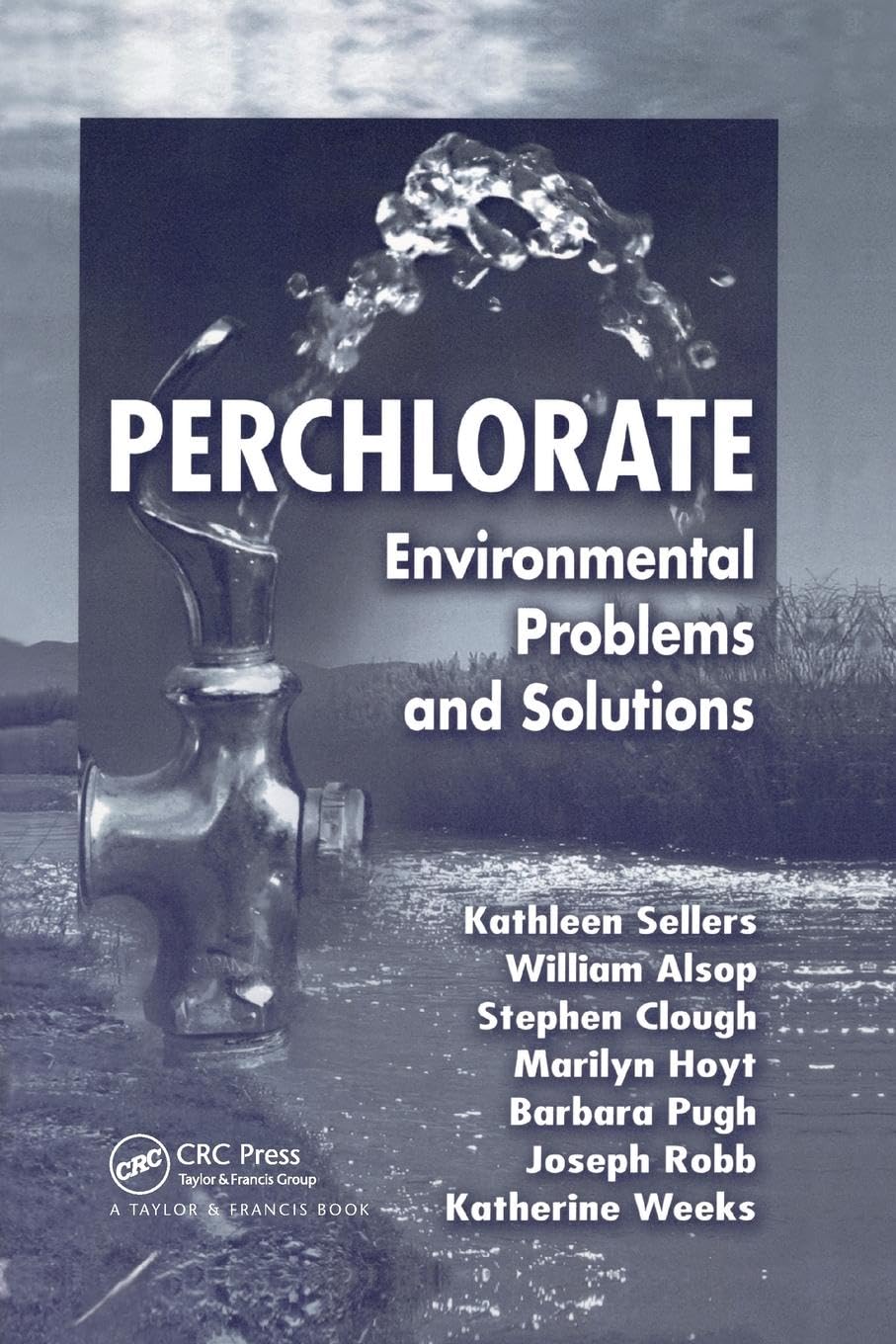 Product Image: Perchlorate