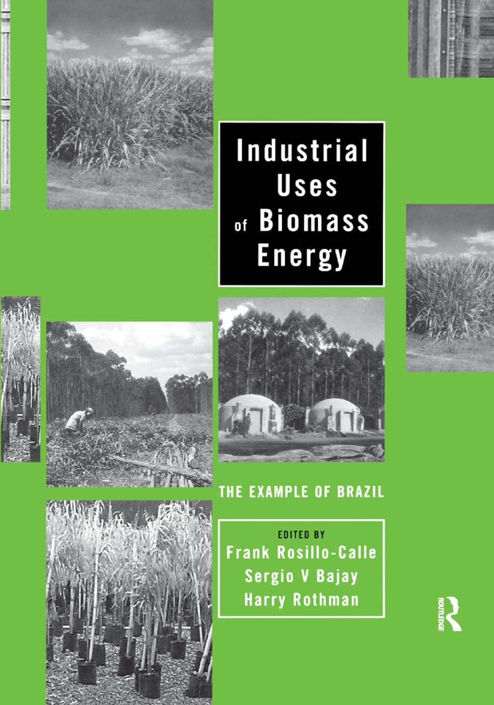 Industrial Uses of Biomass Energy Business & Technology