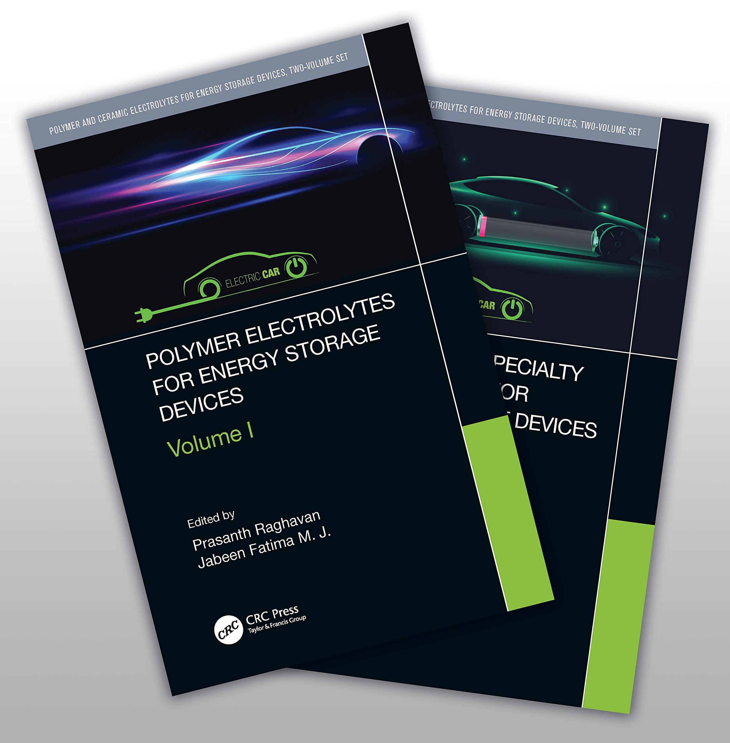 Polymer Electrolytes for Energy Storage Devices / Ceramic and Specialty Electrolytes for Energy Storage Devices (Polymer and Ceramic Electrolytes for Energy Storage Devices) Business & Technology