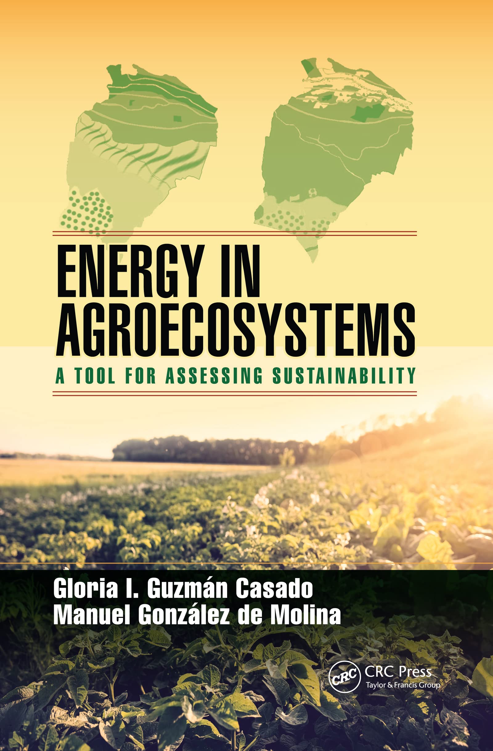 Energy in Agroecosystems Mathematics