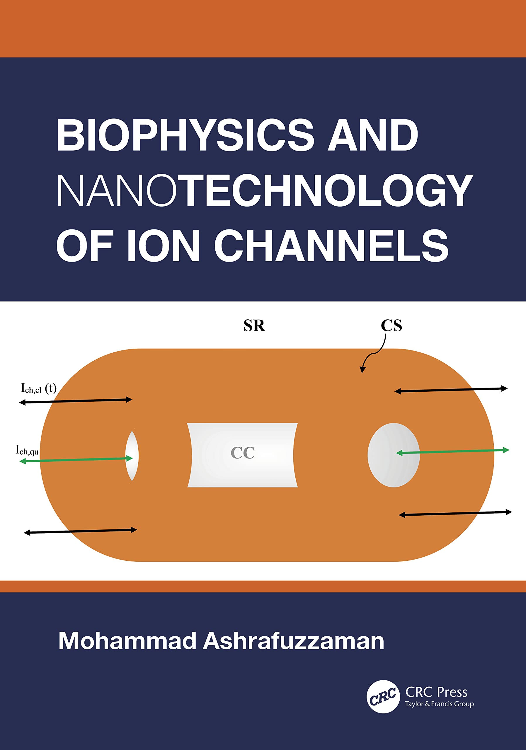 Biophysics and Nanotechnology of Ion Channels Business & Technology