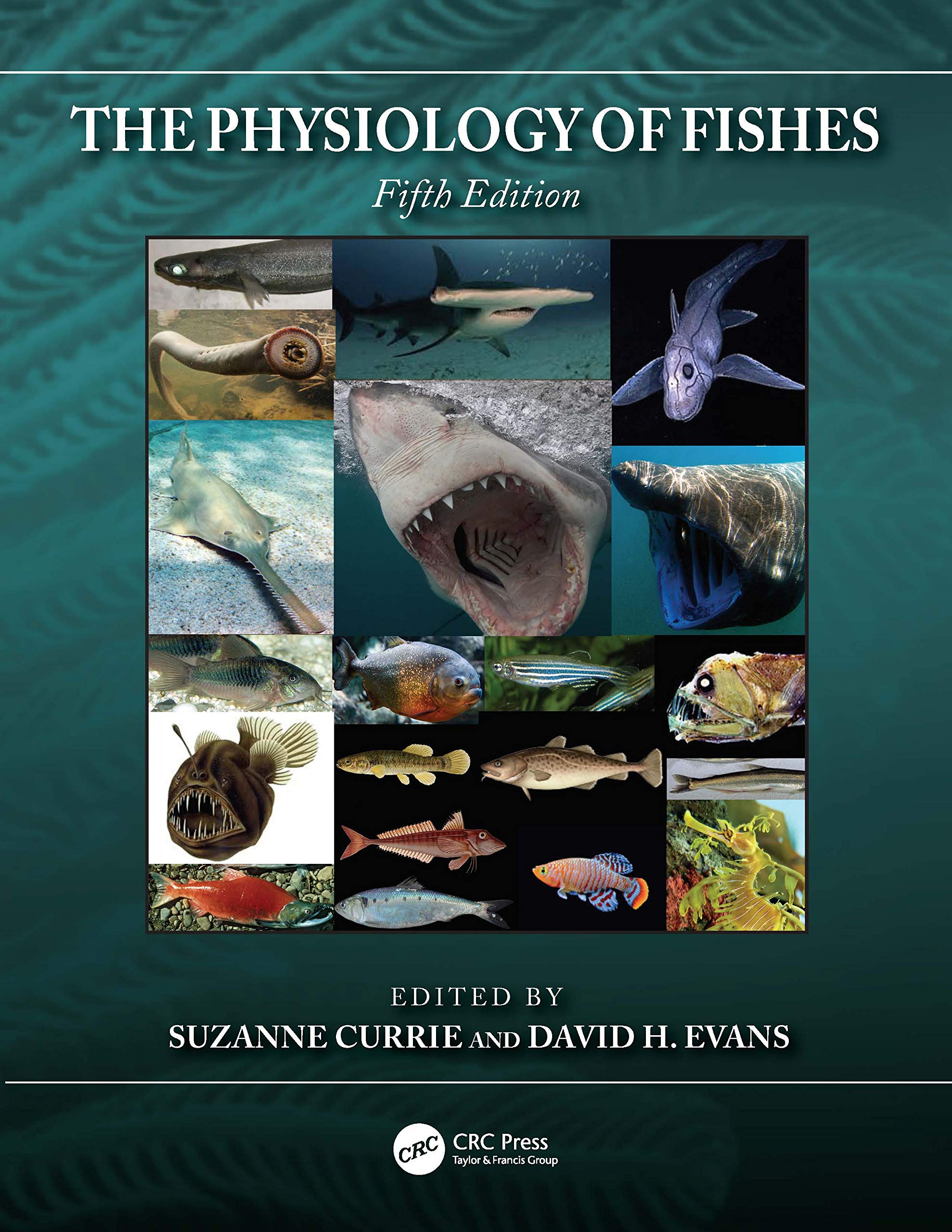 The Physiology of Fishes Leisure, Home & Garden