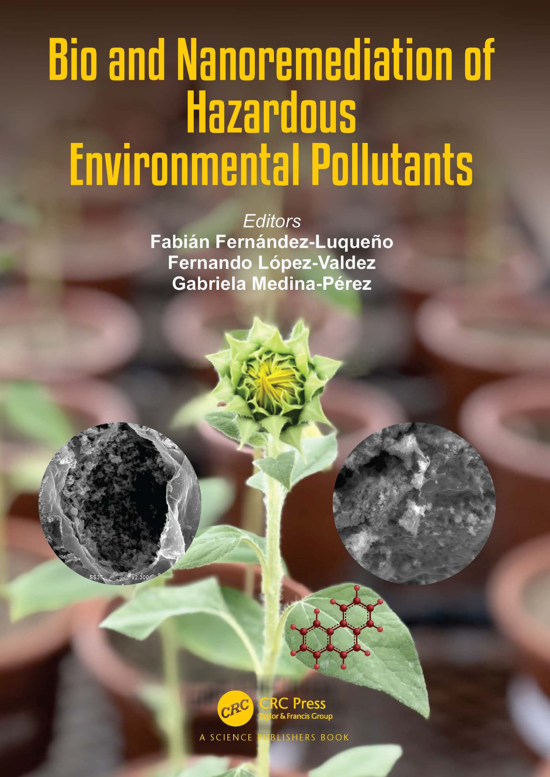 Bio and Nanoremediation of Hazardous Environmental Pollutants Business & Technology