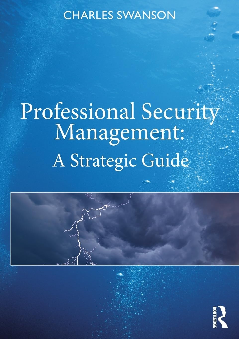 Product Image: Professional Security Management: A Strategic Guide