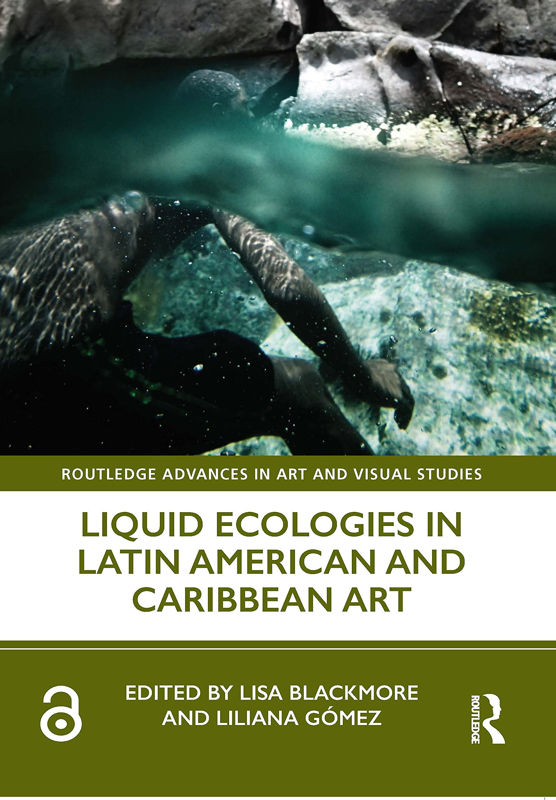 Liquid Ecologies in Latin American and Caribbean Art (Routledge Advances in Art and Visual Studies) Social Sciences