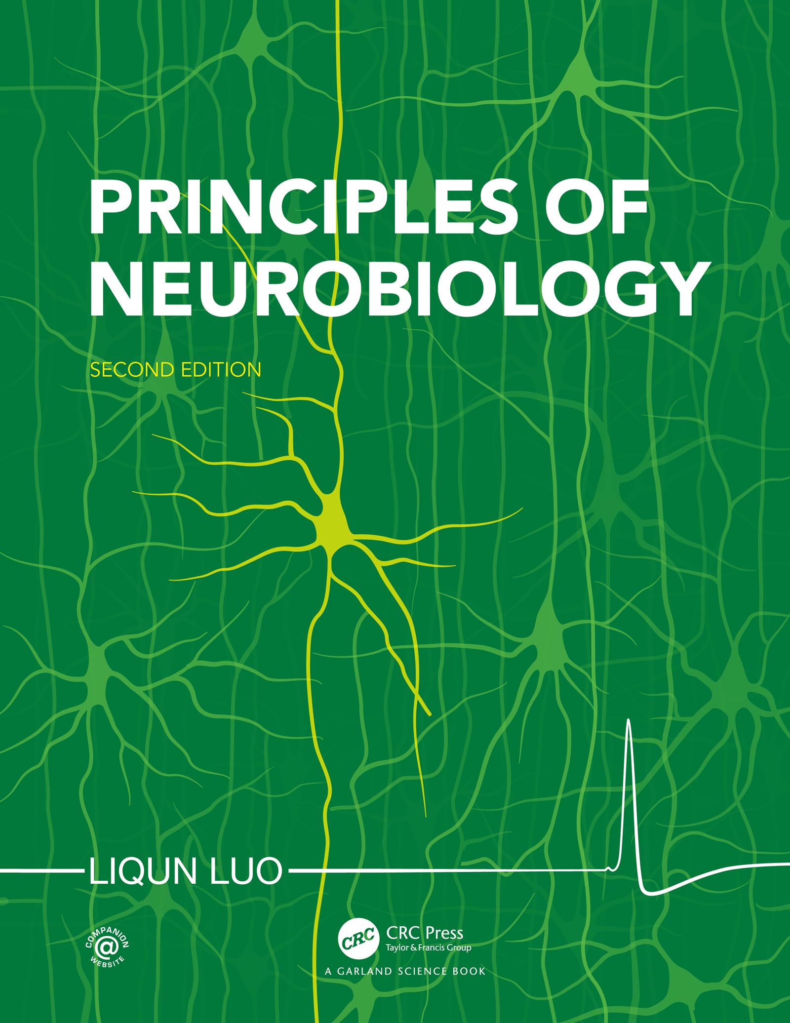 Principles of Neurobiology Medicine