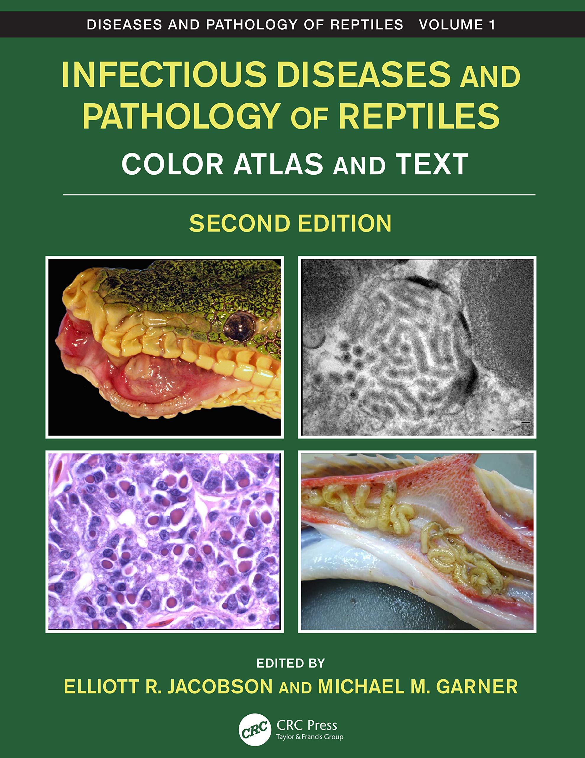 Infectious Diseases and Pathology of Reptiles: Color Atlas and Text (Diseases and Pathology of Reptiles, 1) Medicine