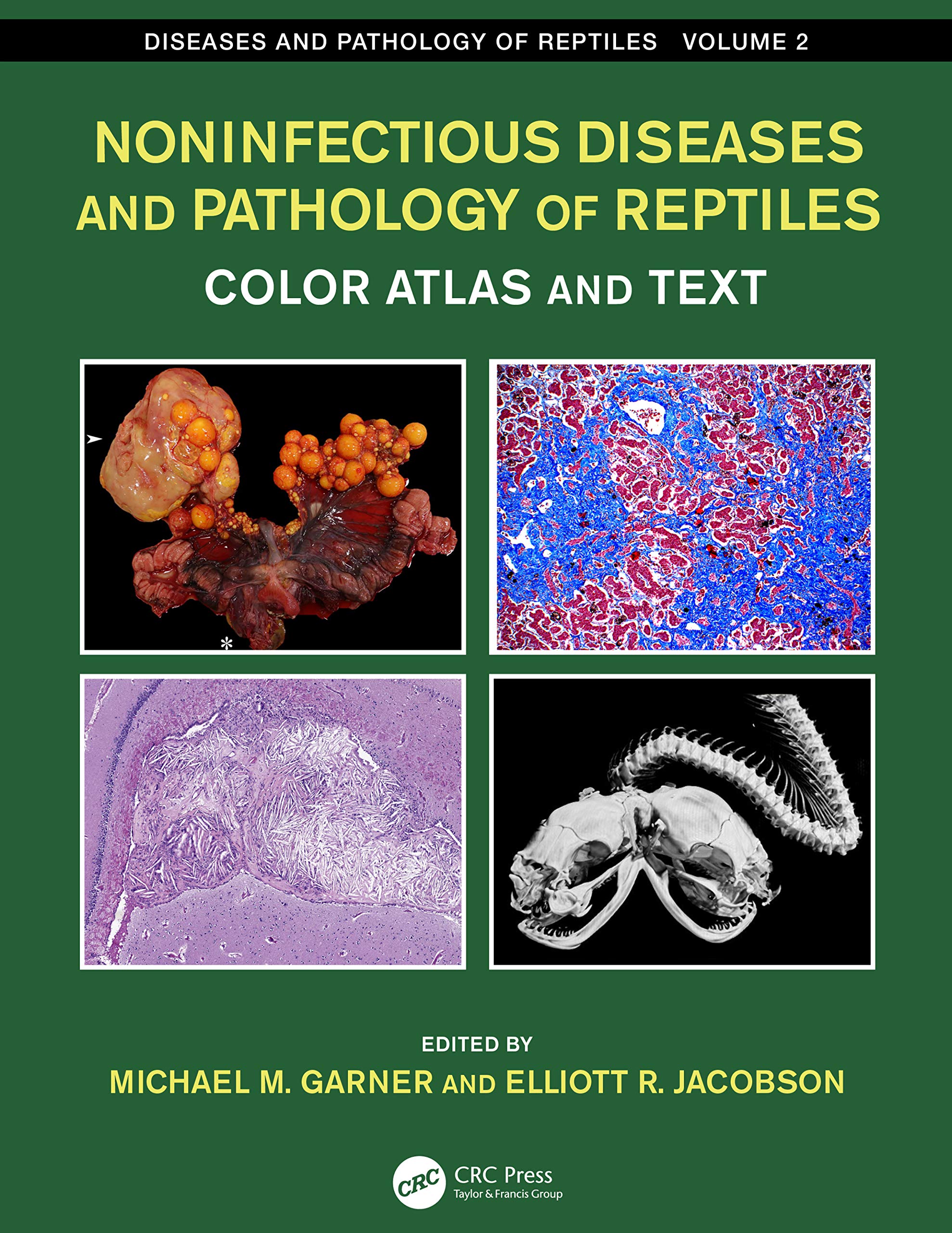 Noninfectious Diseases and Pathology of Reptiles: Color Atlas and Text (Diseases and Pathology of Reptiles, 2) Medicine
