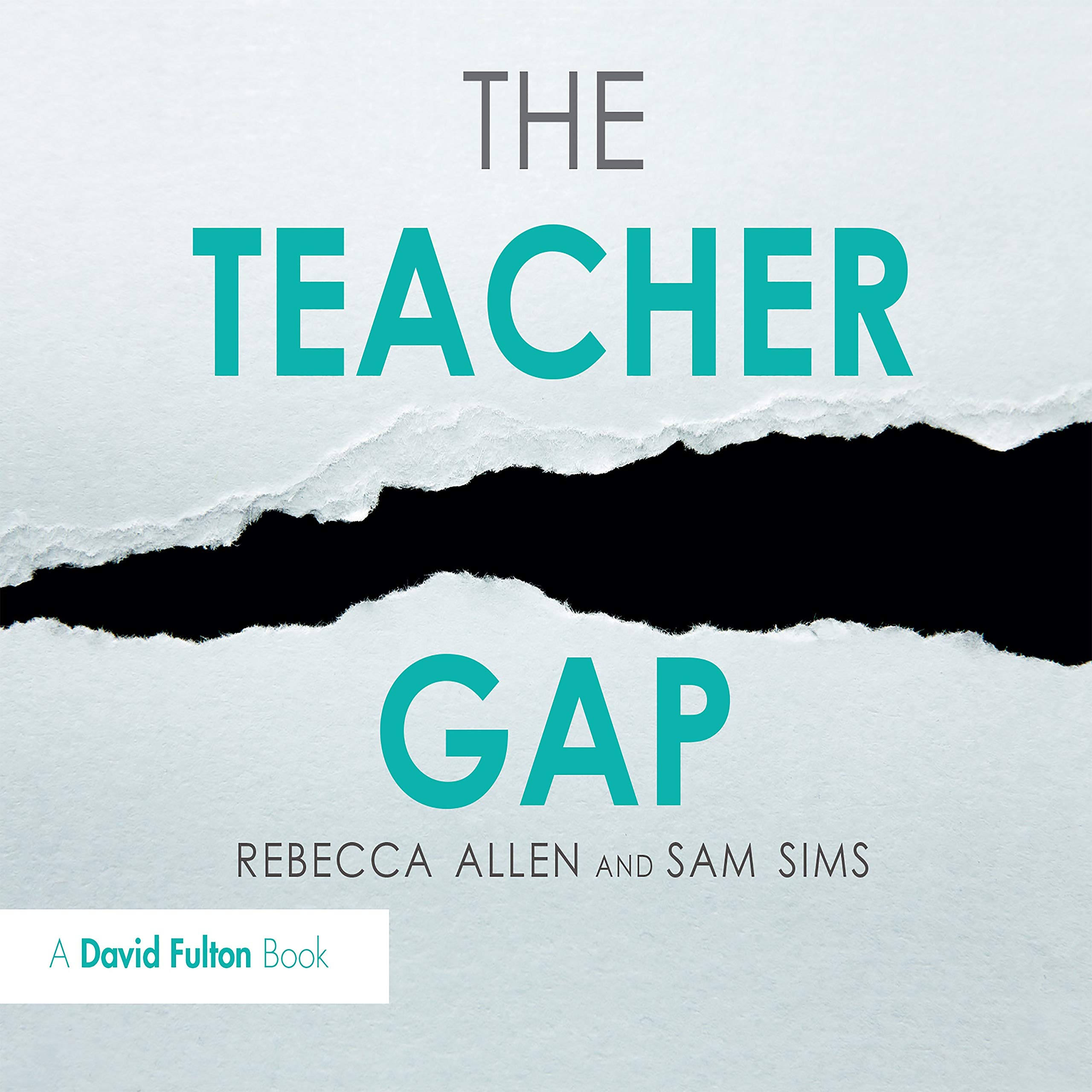 Product Image: The Teacher Gap