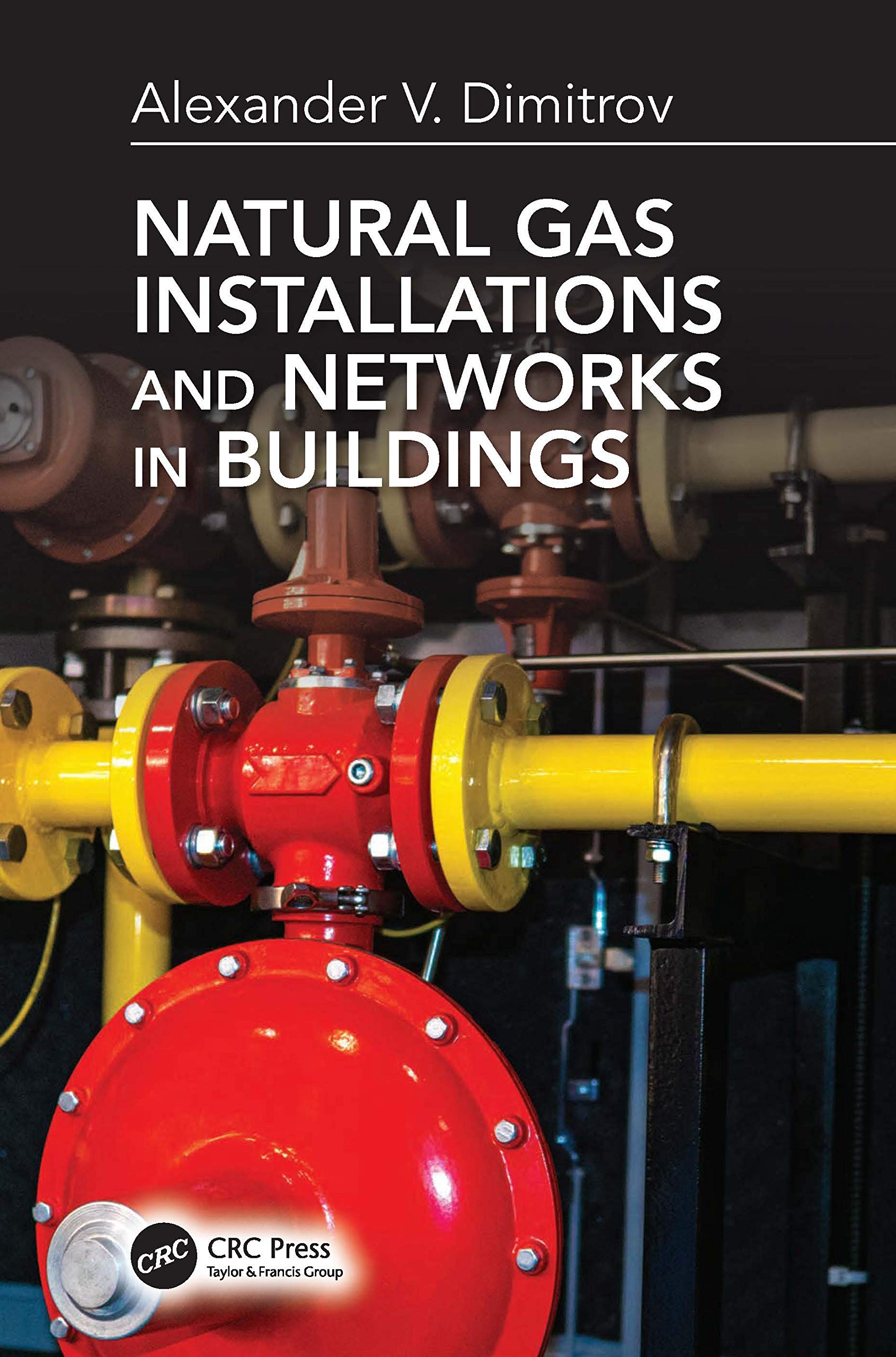 Natural Gas Installations and Networks in Buildings Business & Technology