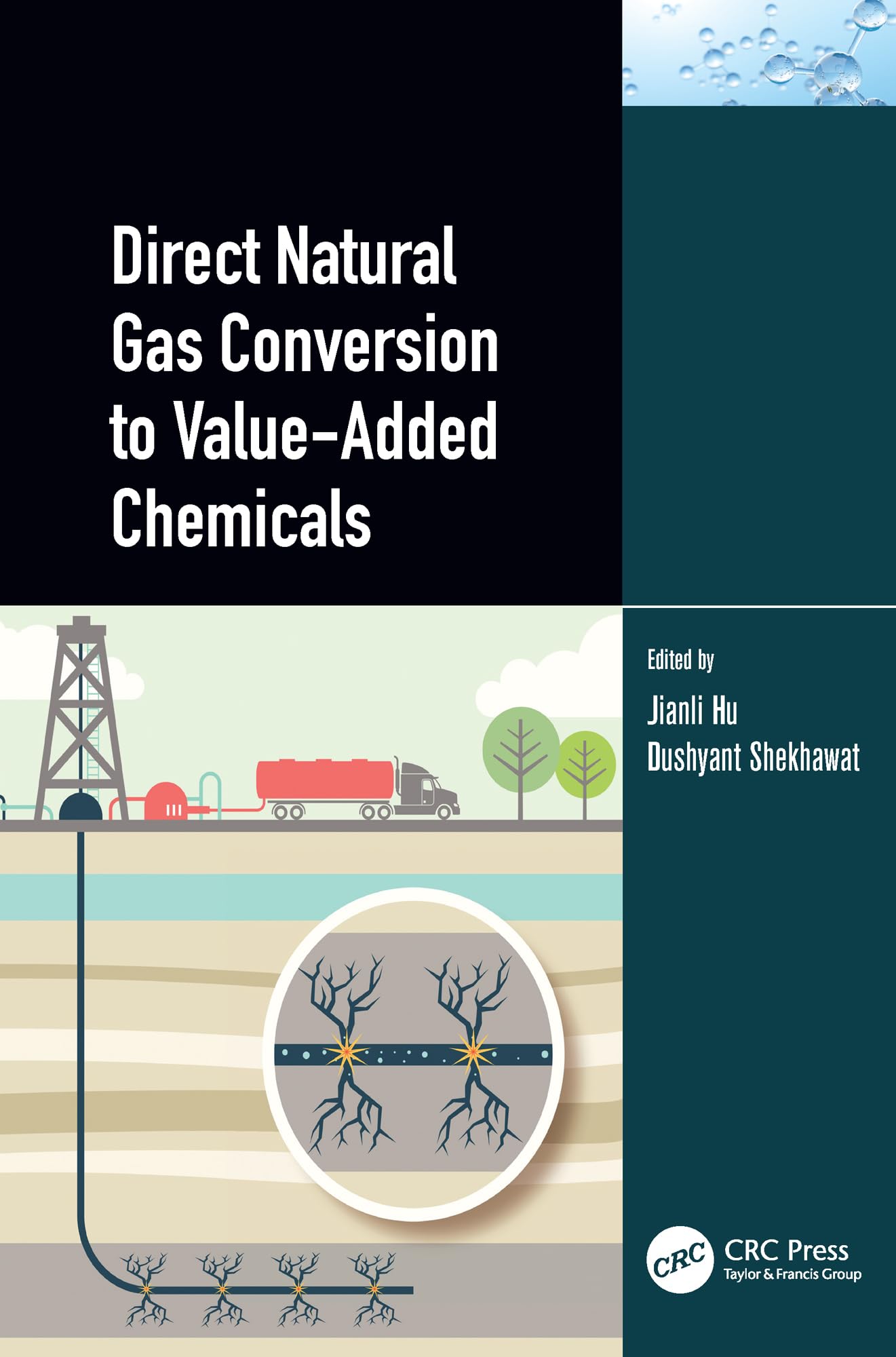 Direct Natural Gas Conversion to Value-Added Chemicals Business & Technology