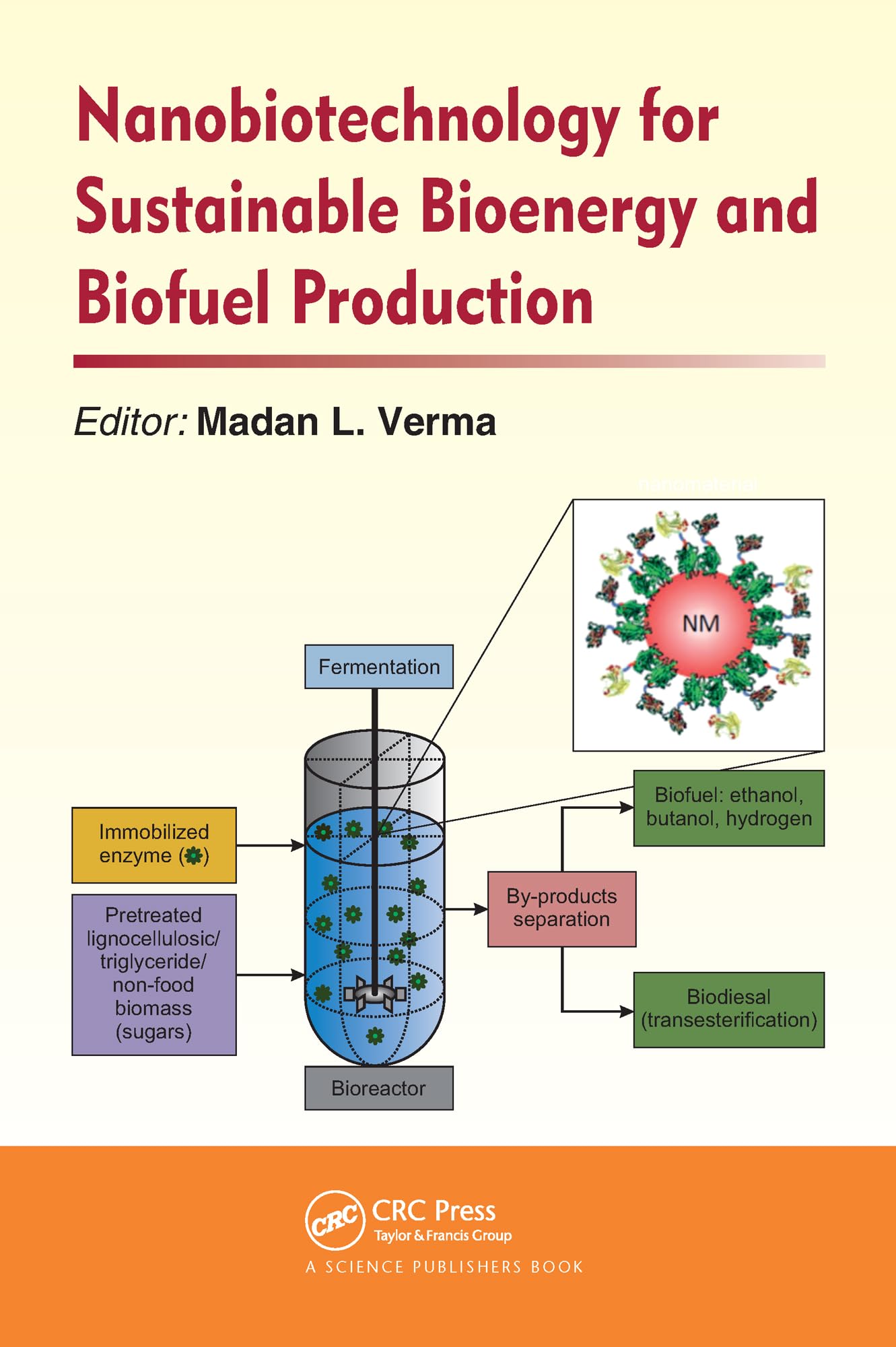 Nanobiotechnology for Sustainable Bioenergy and Biofuel Production Business & Technology