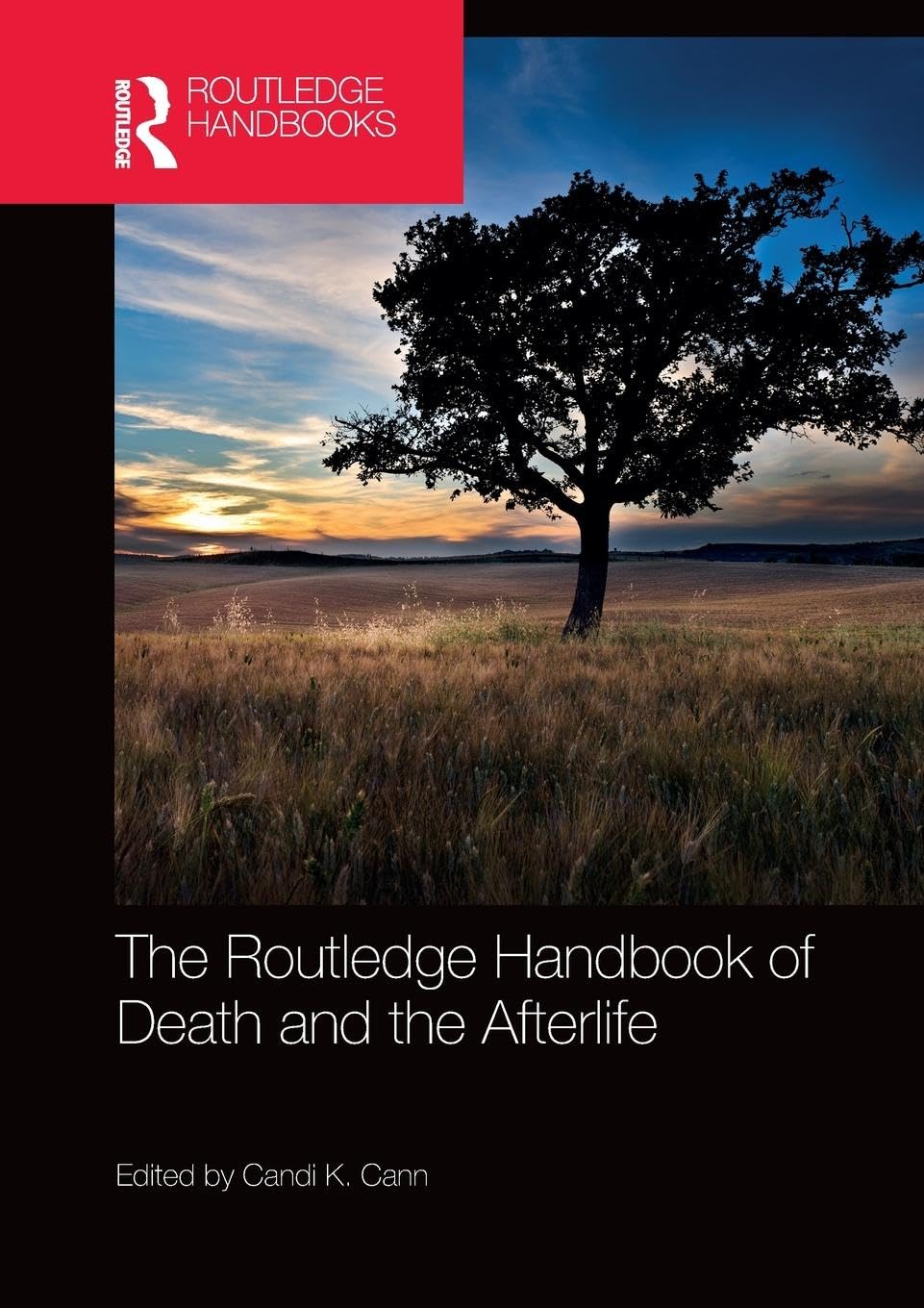 The Routledge Handbook of Death and the Afterlife Medicine