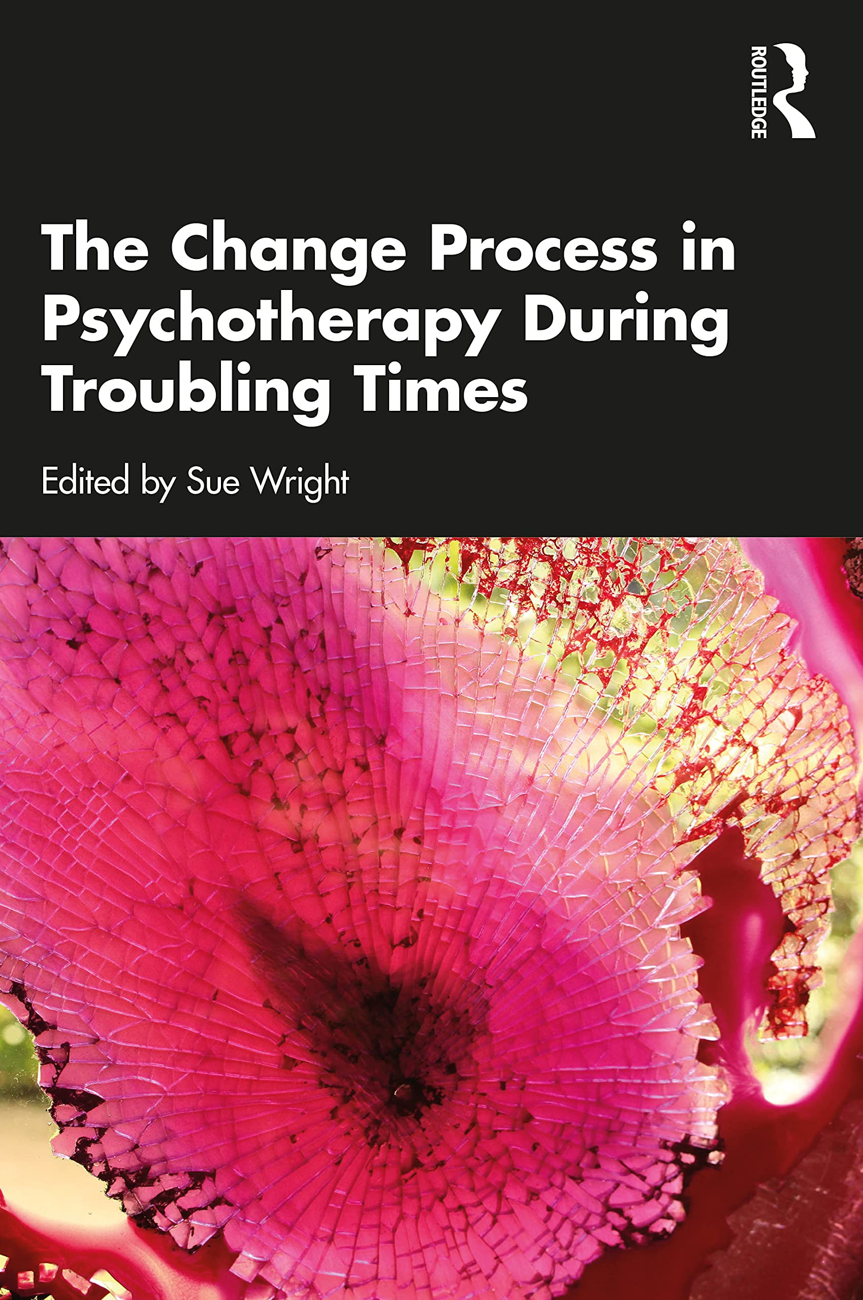 Product Image: The Change Process in Psychotherapy During Troubling Times