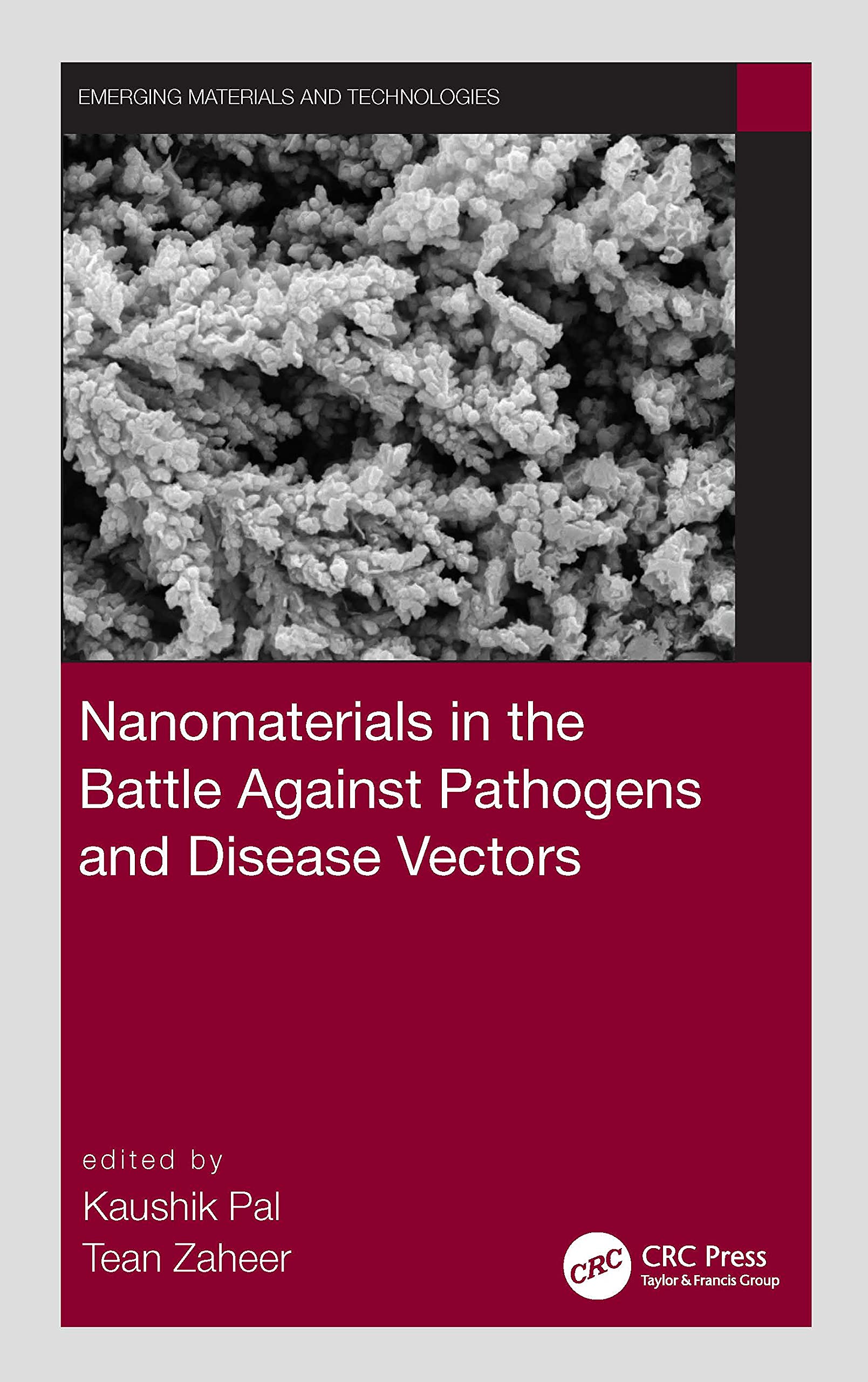 Nanomaterials in the Battle Against Pathogens and Disease Vectors Medicine