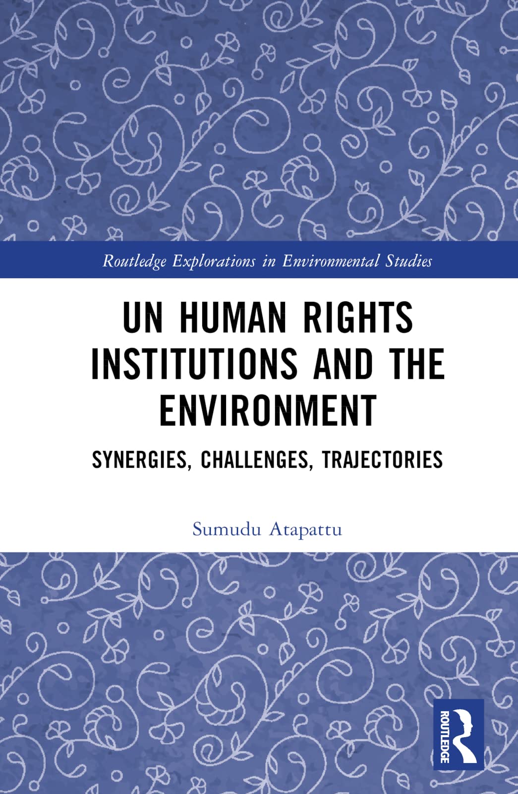 UN Human Rights Institutions and the Environment: Synergies, Challenges, Trajectories (Routledge Explorations in Environmental Studies) Law