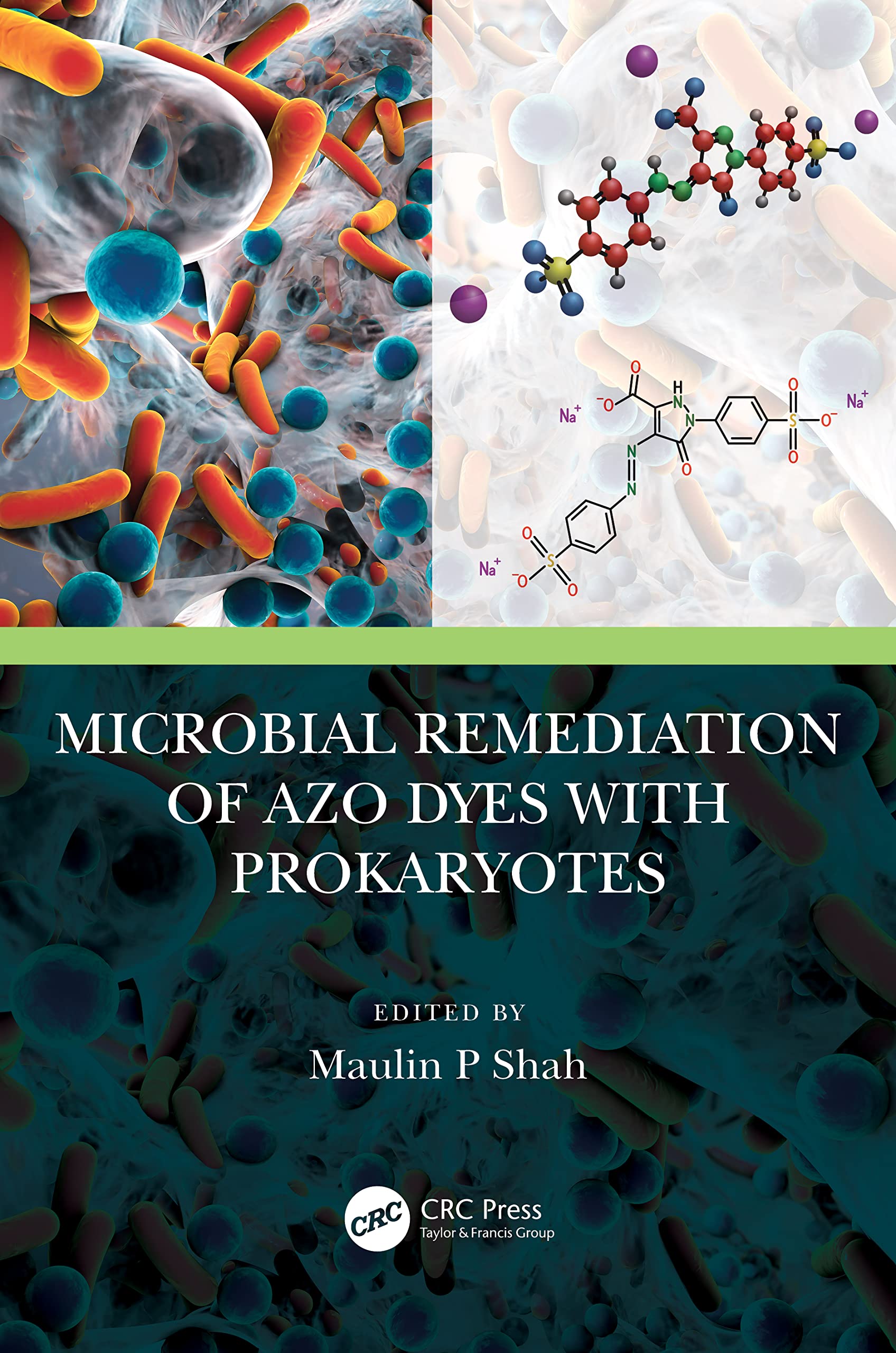 Microbial Remediation of Azo Dyes with Prokaryotes Business & Technology