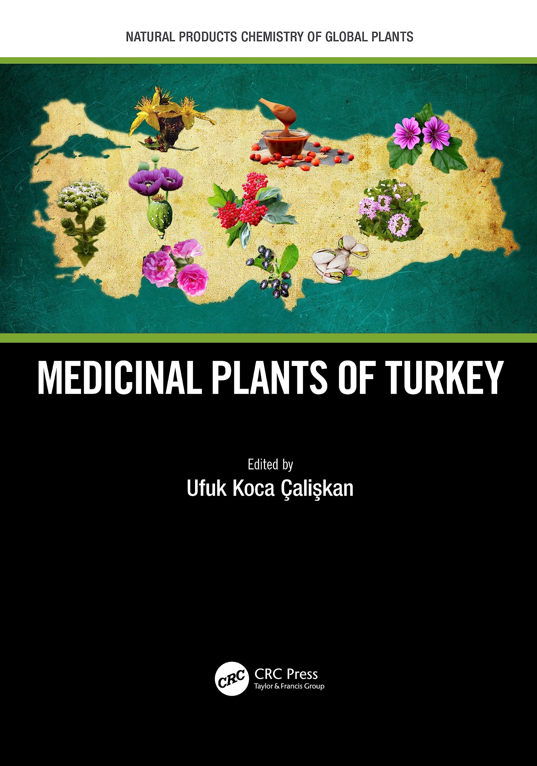 Medicinal Plants of Turkey Natural Sciences