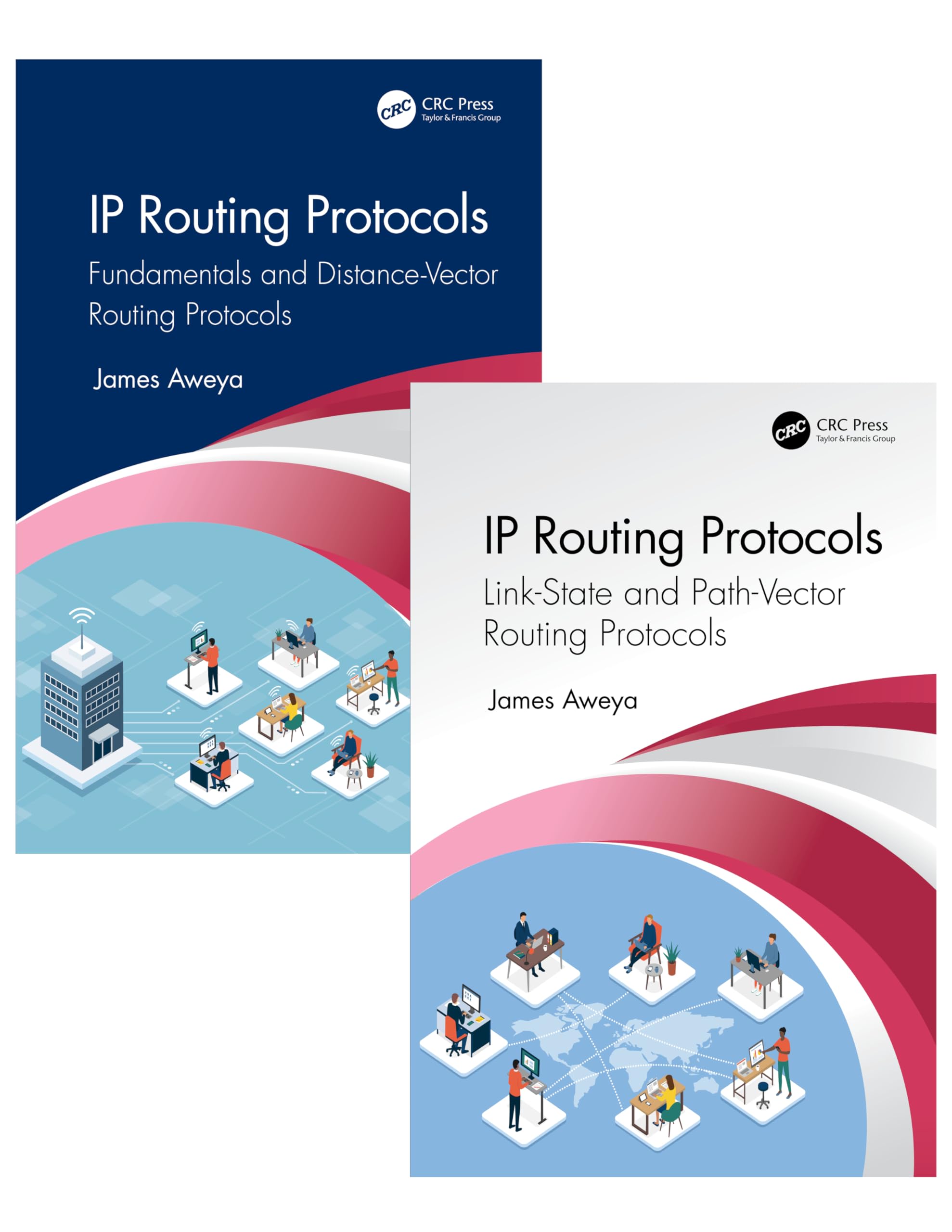 IP Routing Protocols Computer Science