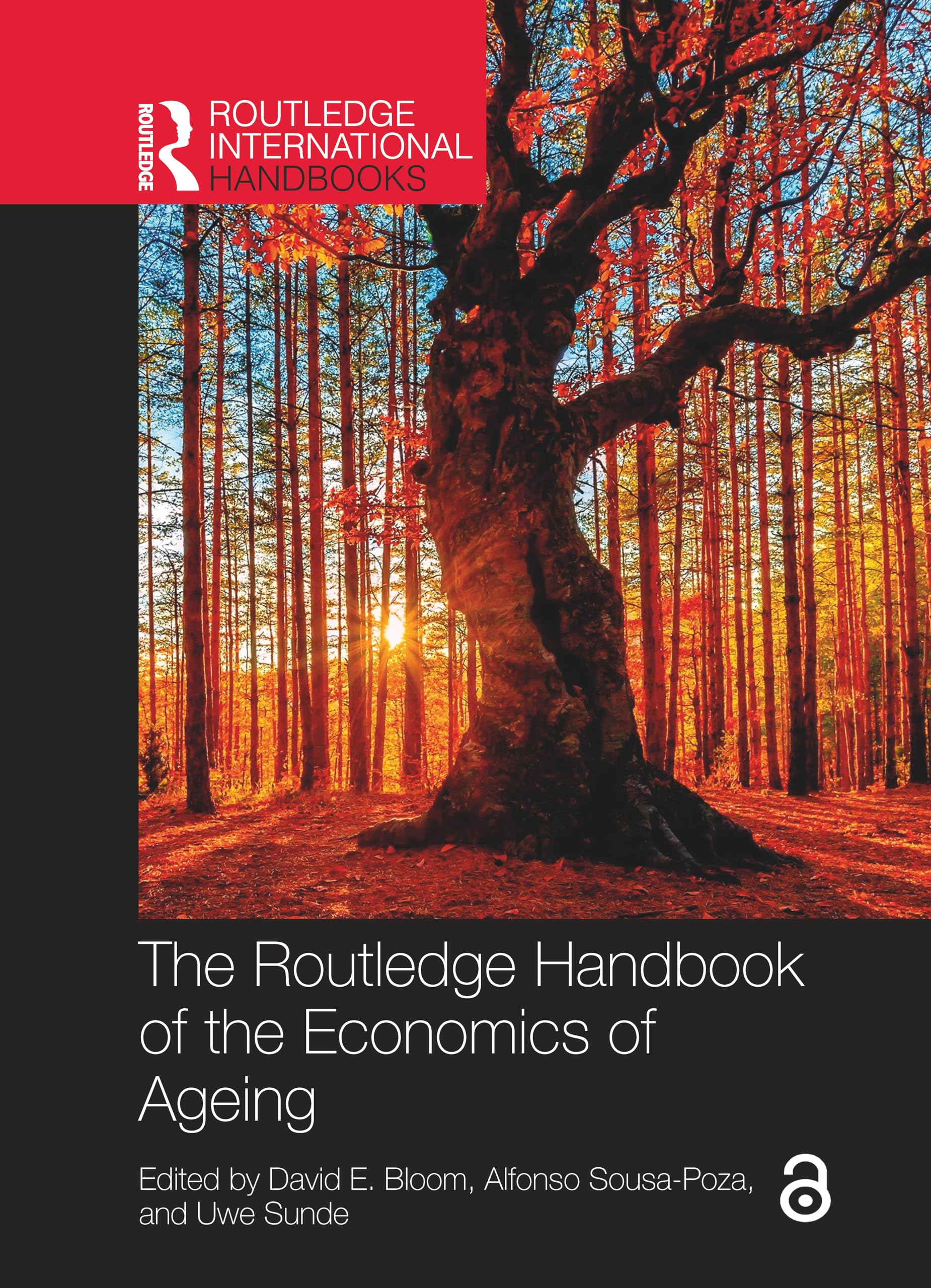 The Routledge Handbook of the Economics of Ageing Medicine