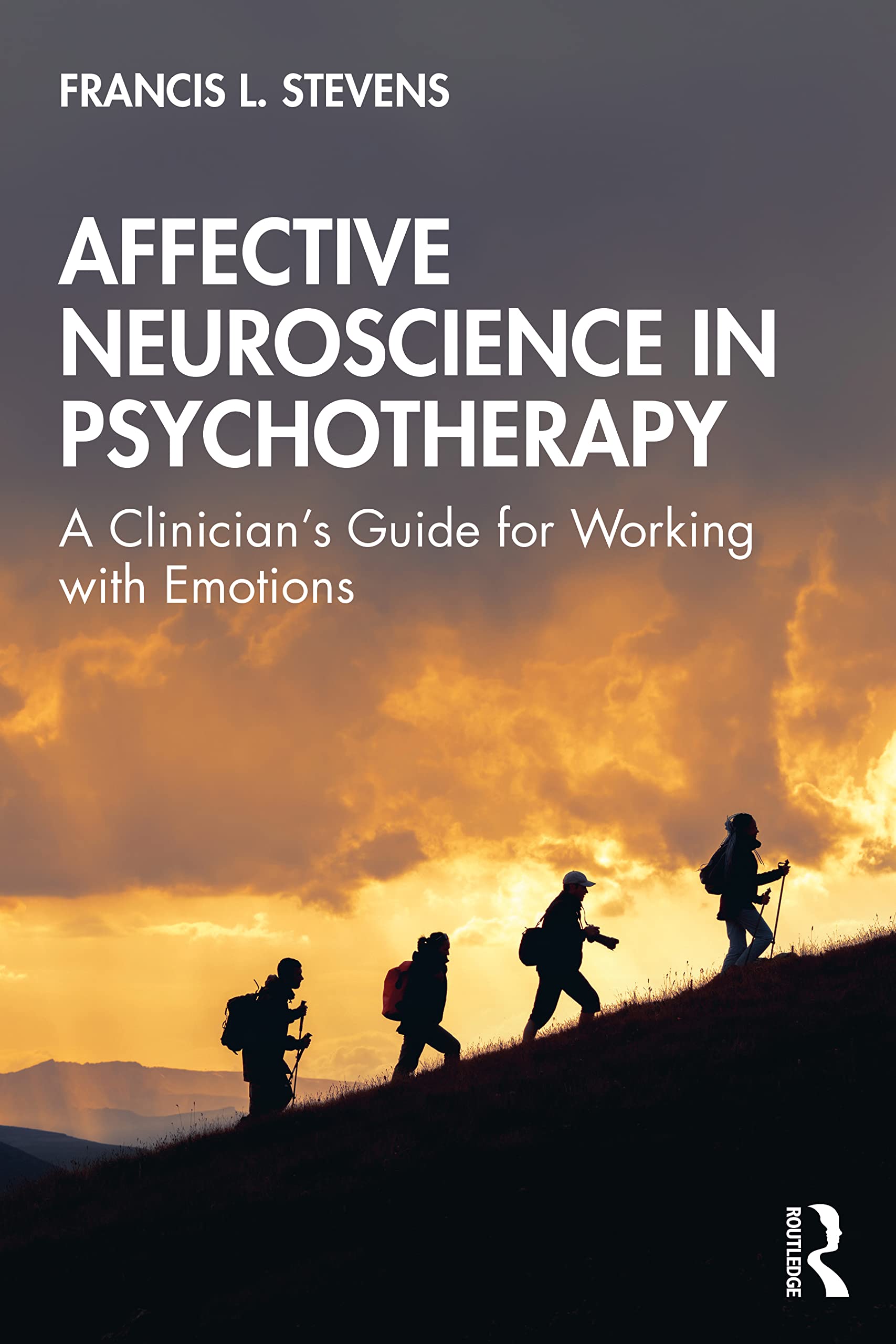 Affective Neuroscience in Psychotherapy: A Clinician's Guide for Working with Emotions Medicine