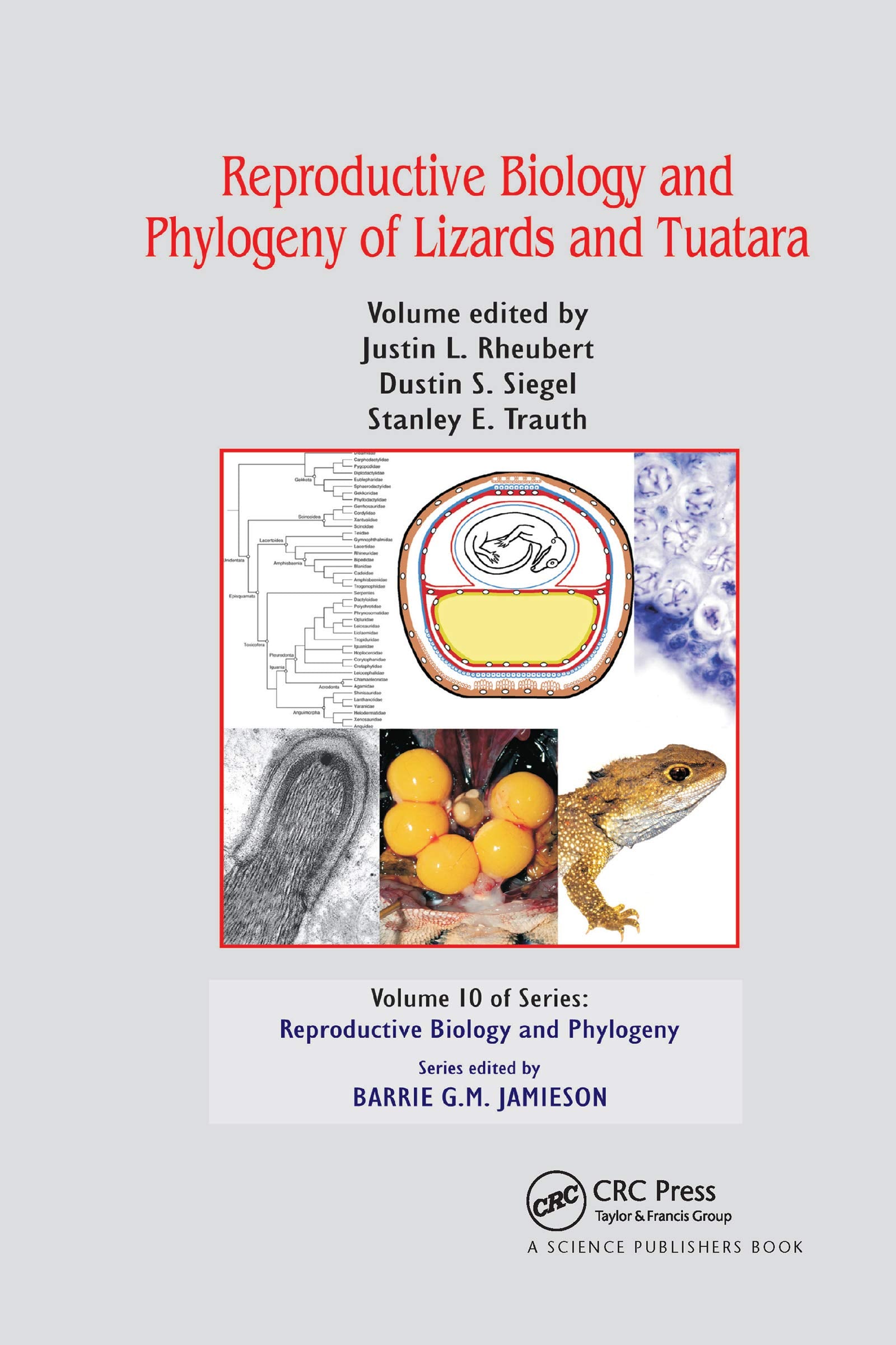 Reproductive Biology and Phylogeny of Lizards and Tuatara Social Sciences