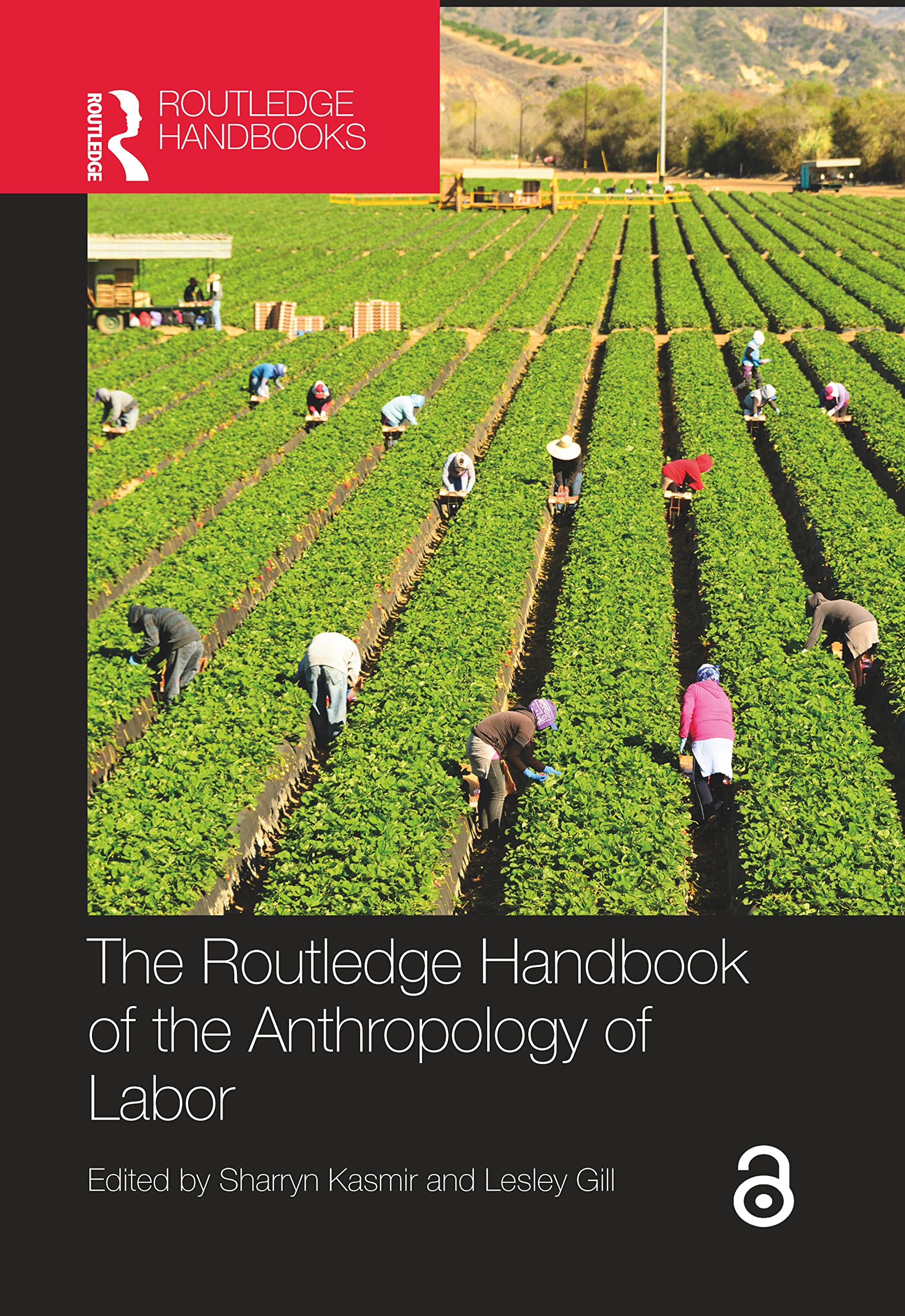 The Routledge Handbook of the Anthropology of Labor (Routledge Anthropology Handbooks) Books