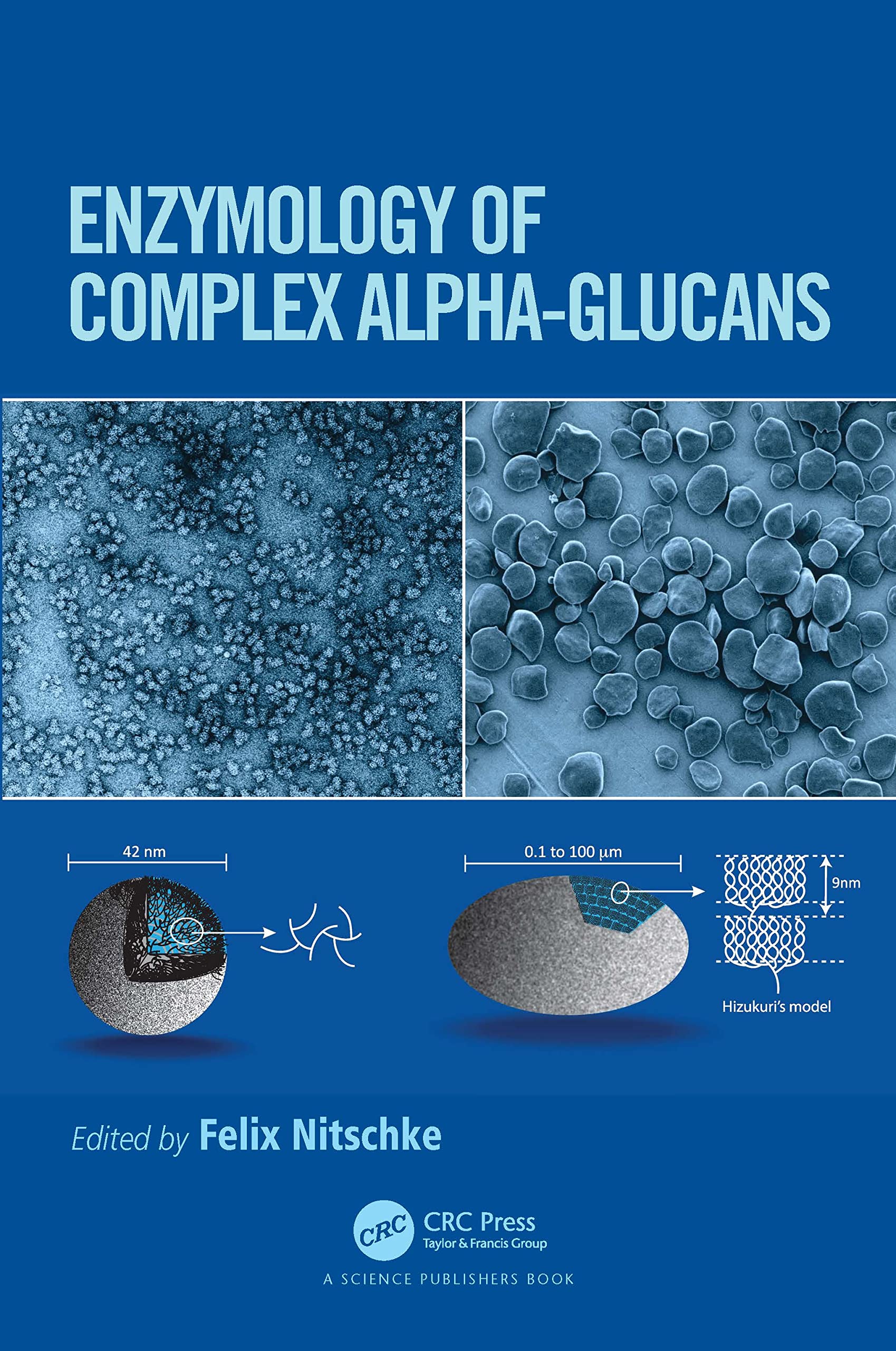 Enzymology of Complex Alpha-Glucans Medicine