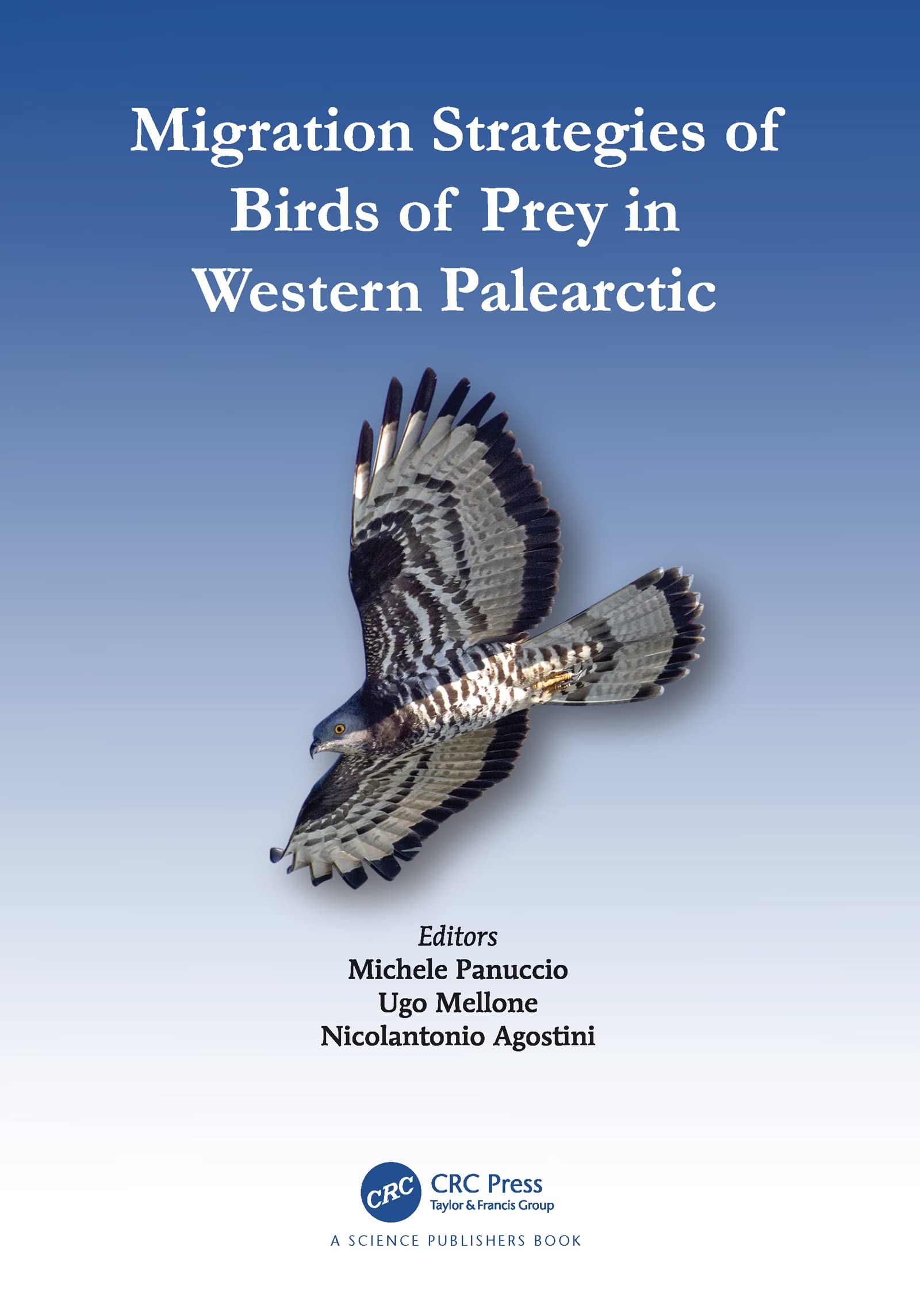 Migration Strategies of Birds of Prey in Western Palearctic Mathematics