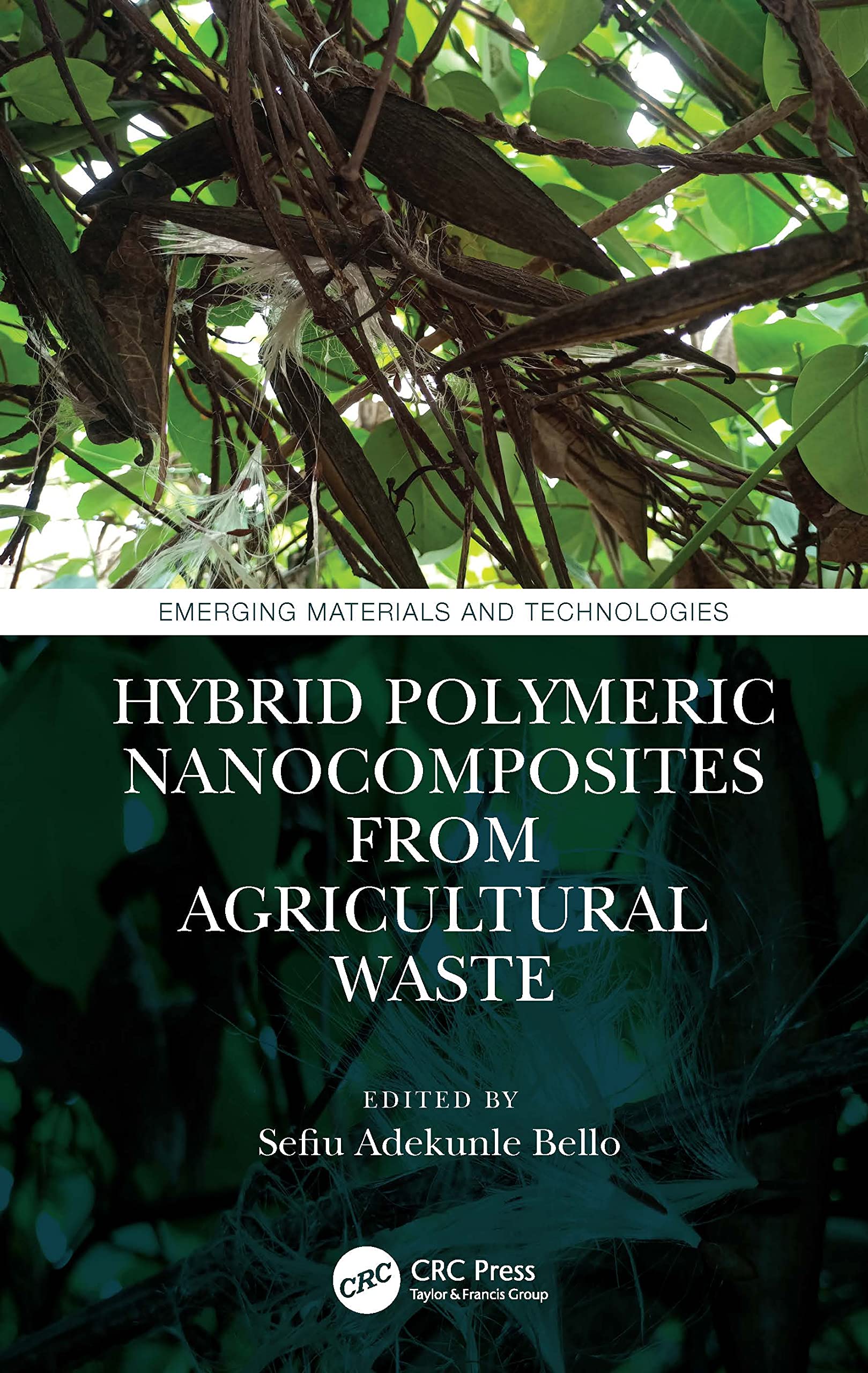 Hybrid Polymeric Nanocomposites from Agricultural Waste Business & Technology