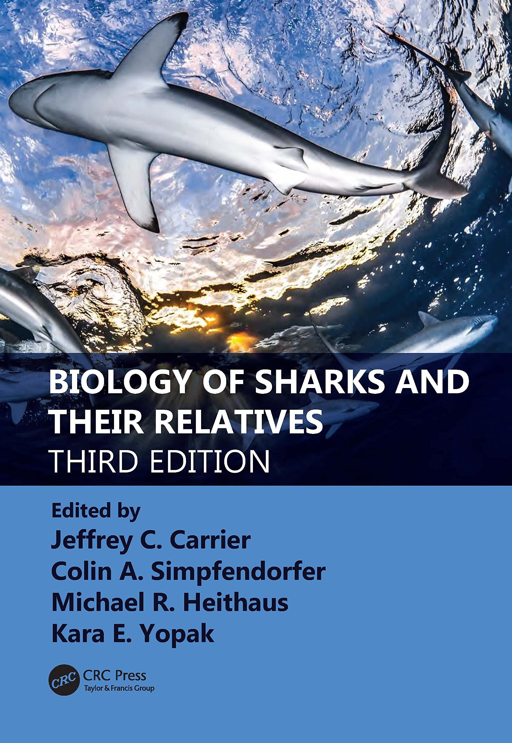 Biology of Sharks and Their Relatives Medicine