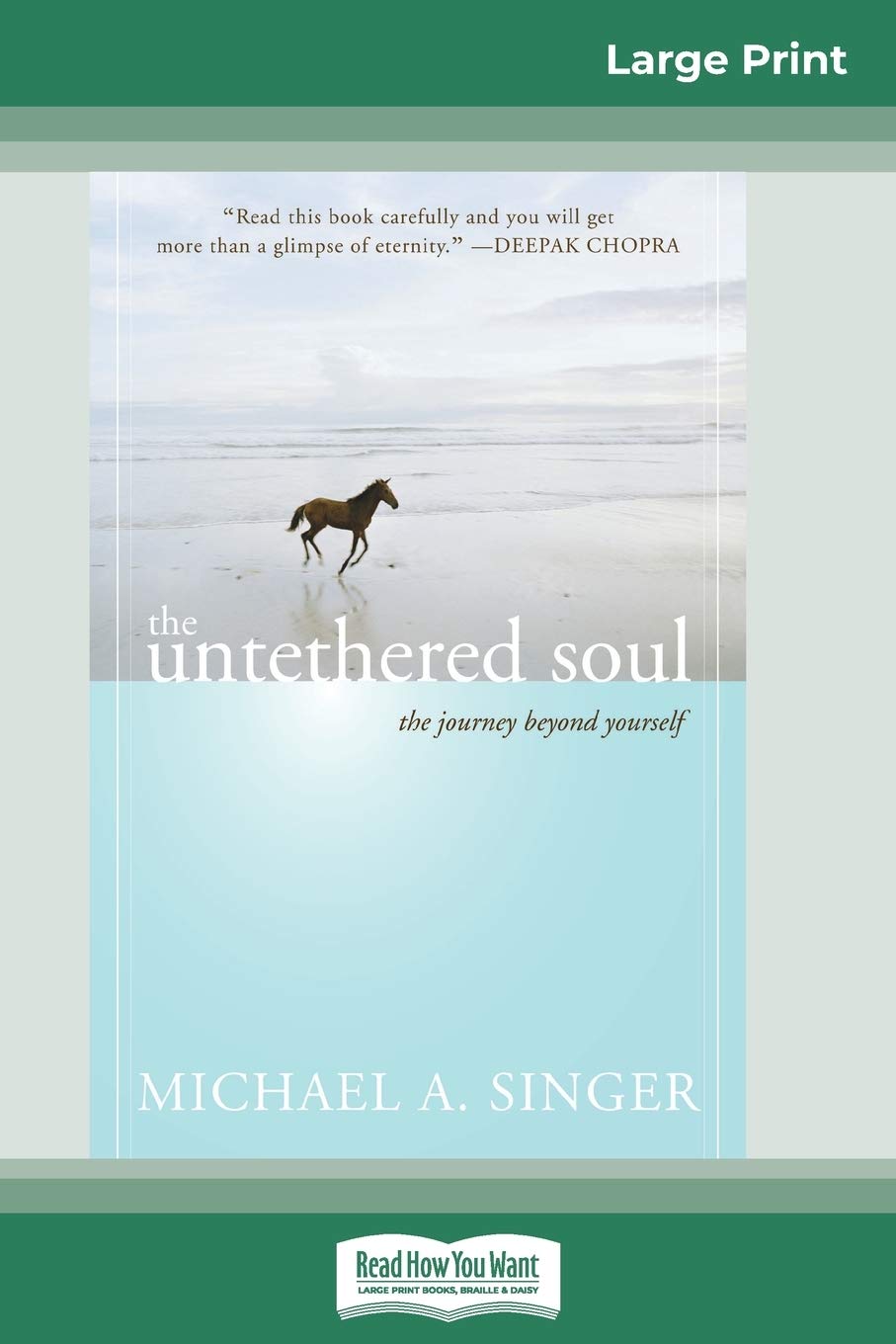 The Untethered Soul: The Journey Beyond Yourself (16pt Large Print Edition) Business, Finance & Career