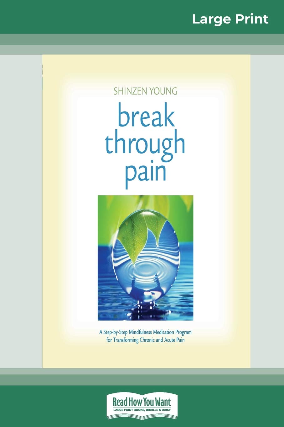 Break Through Pain: A Step-by-Step Mindfulness Meditation Program for Transforming Chronic and Acute Pain (16pt Large Print Edition) book