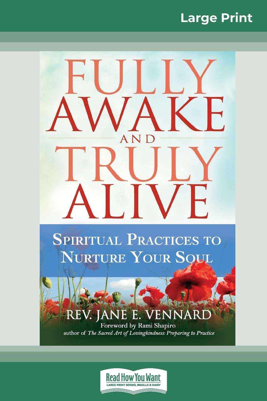 Fully Awake and Truly Alive: Spiritual Practices to Nurture Your Soul (16pt Large Print Edition) Religion & Esotericism