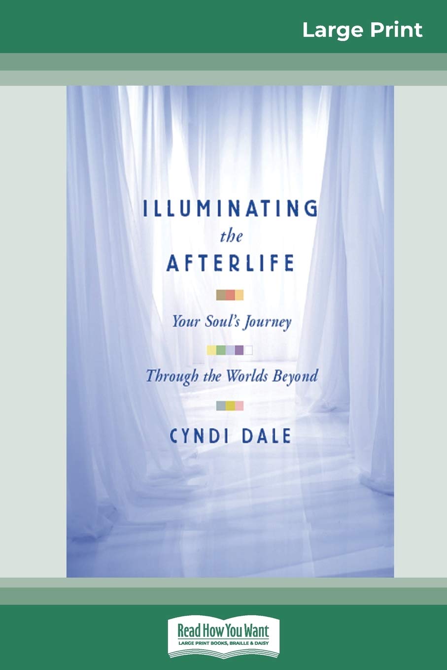 Illuminating the Afterlife: Your Soul's Journey Through the Worlds Beyond (16pt Large Print Edition) Psychology