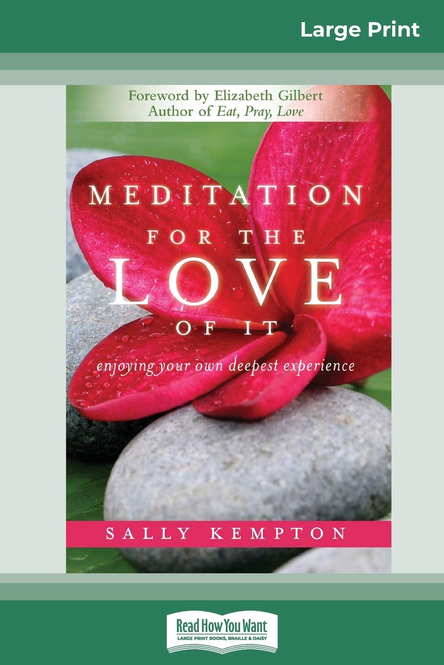 Meditation for the Love of It: Enjoying Your Own Deepest Experience (16pt Large Print Edition) Lifestyle