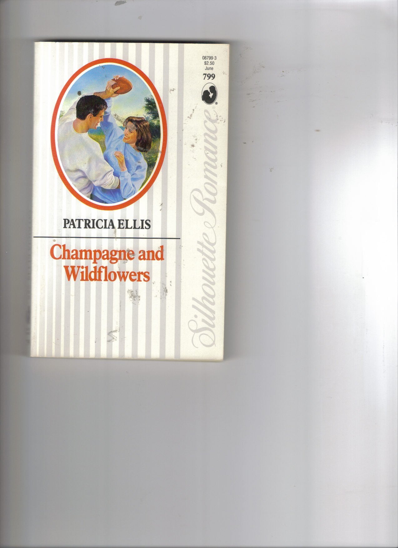 Champagne and Wildflowers (Silhouette Romance, Band 799) Contemporary Romance