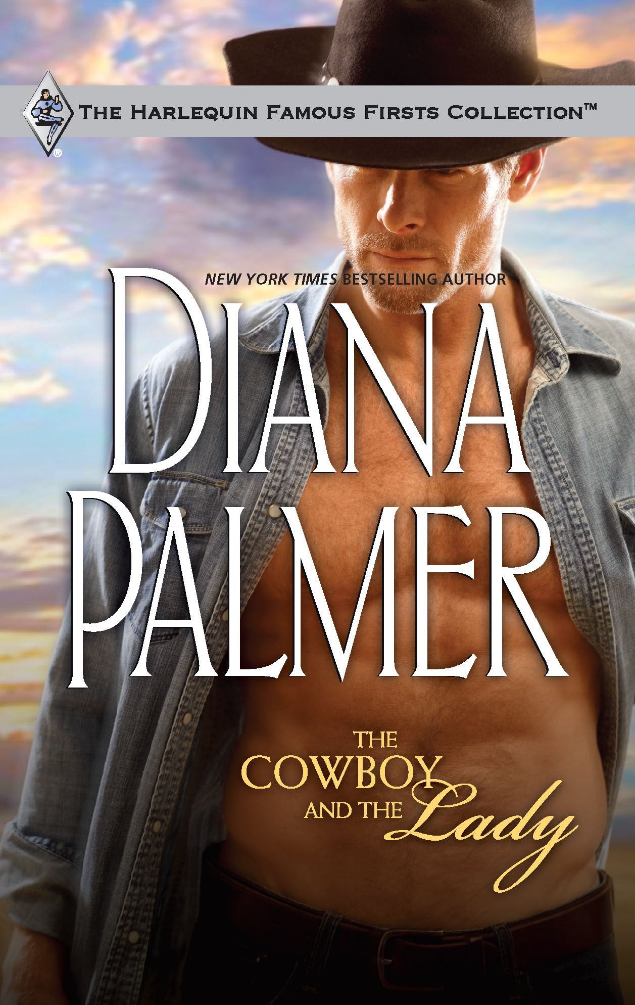 The Cowboy and the Lady book